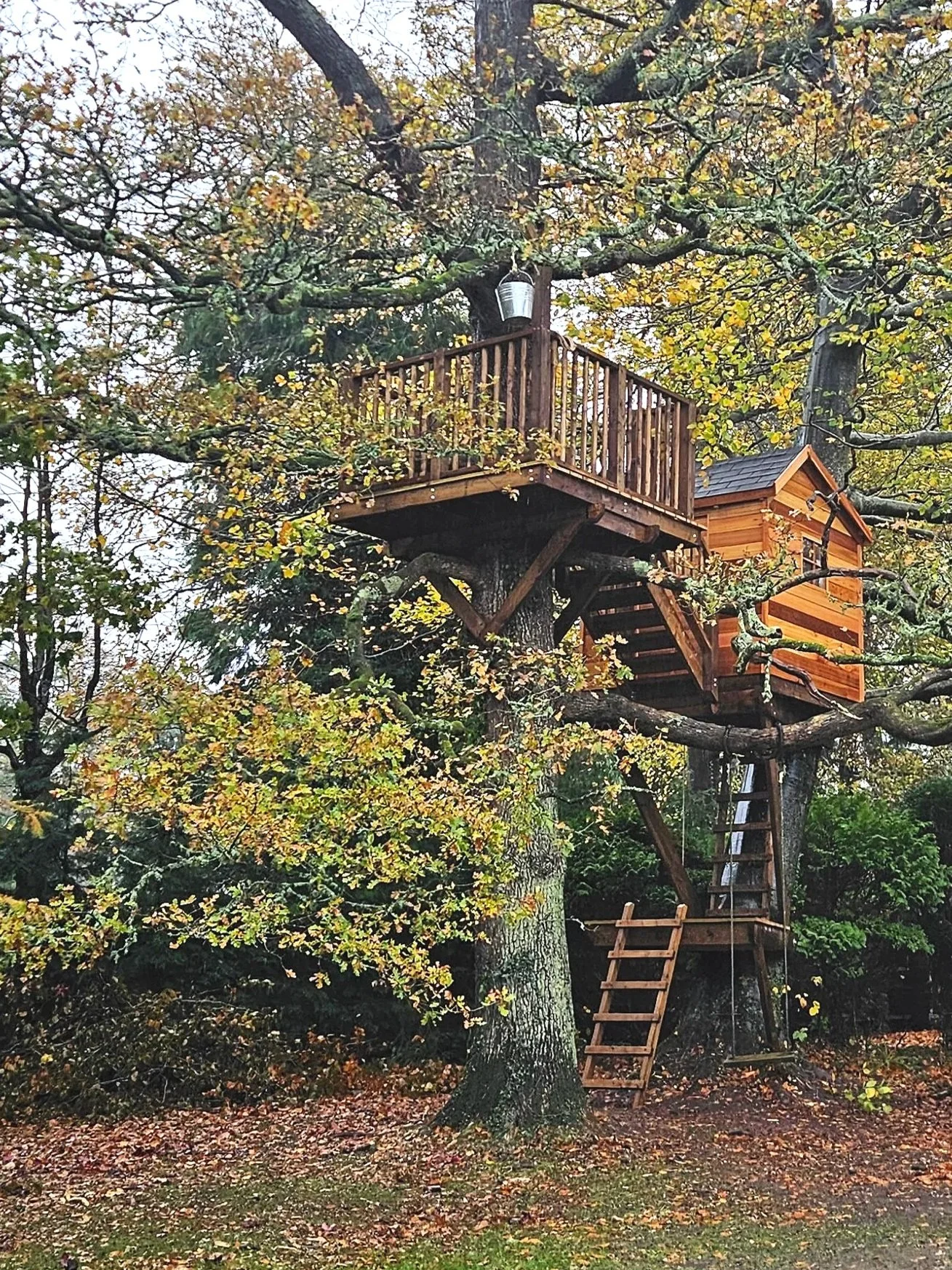 A Treehouse With Three Levels, Trapdoors, and BBQ Magic