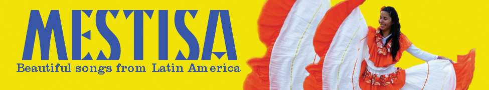 mestisa logo.png