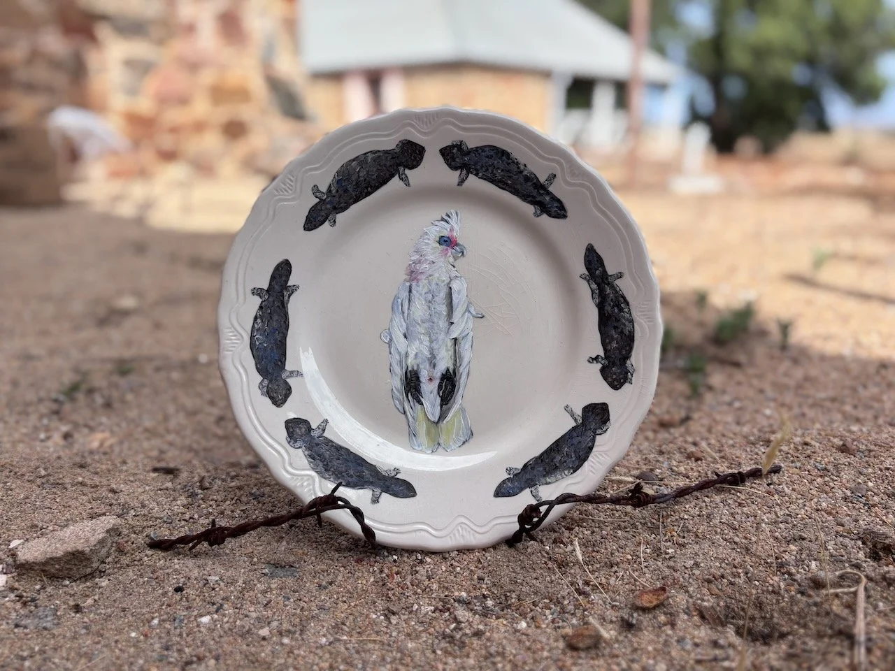 Serving I (galah with bluetongue lizard)
Ceramic plate, oil paint on barbed wire plate stand, 20cm diameter, 2024