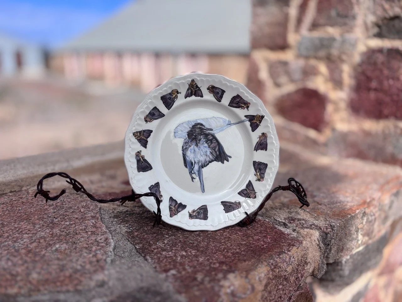Serving II (wren with southern moon moth)
Ceramic plate, oil paint on barbed wire plate stand, 25cm diameter, 2024