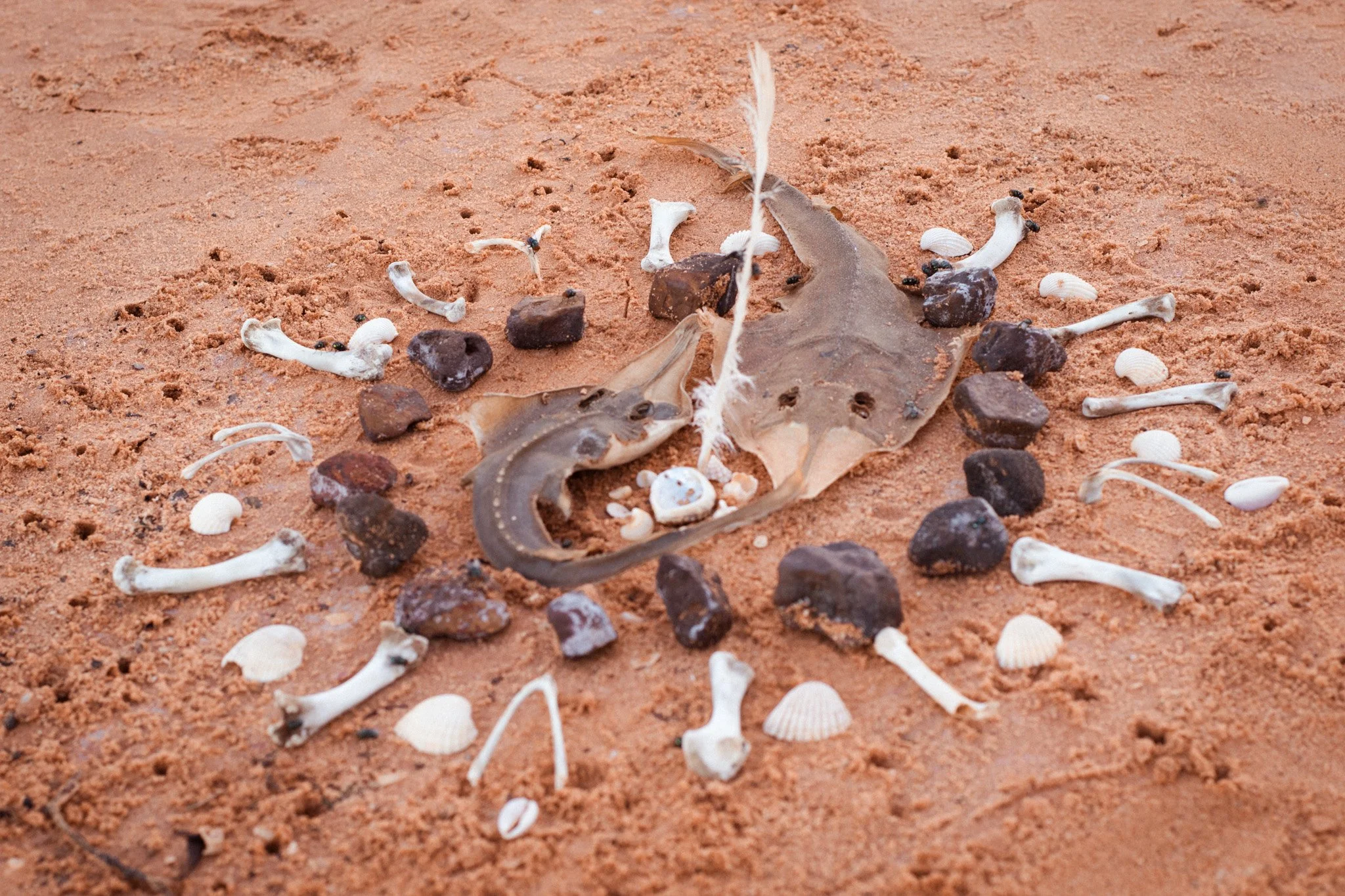 Photo: Halina Storm Photography