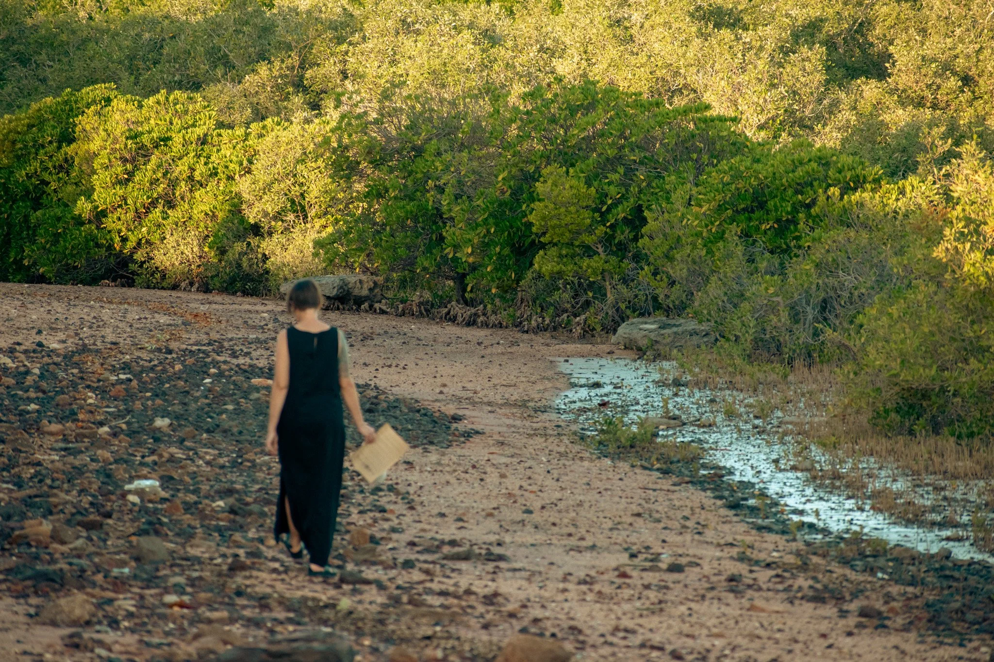 Photo: Halina Storm Photography