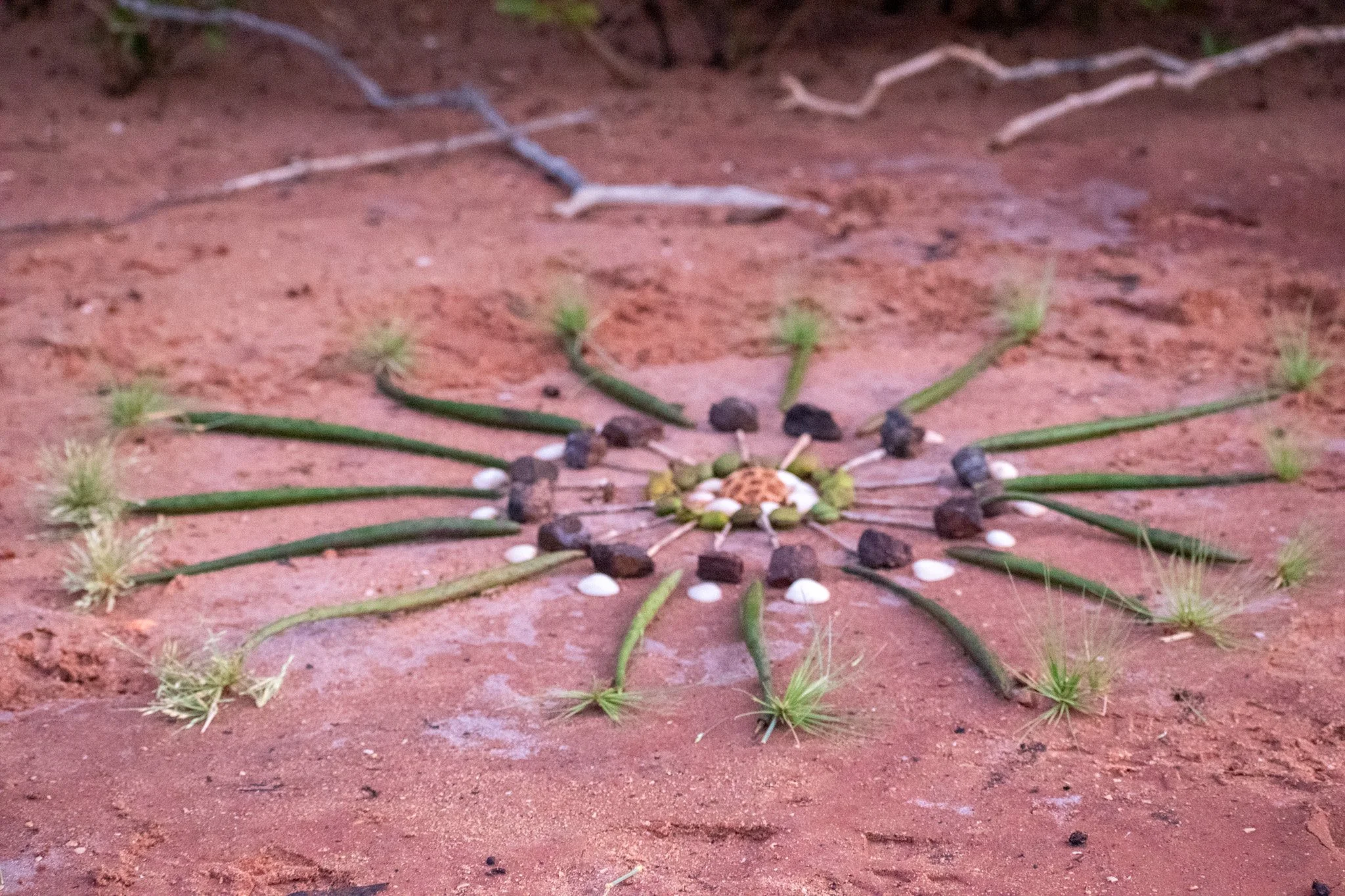 Photo: Halina Storm Photography