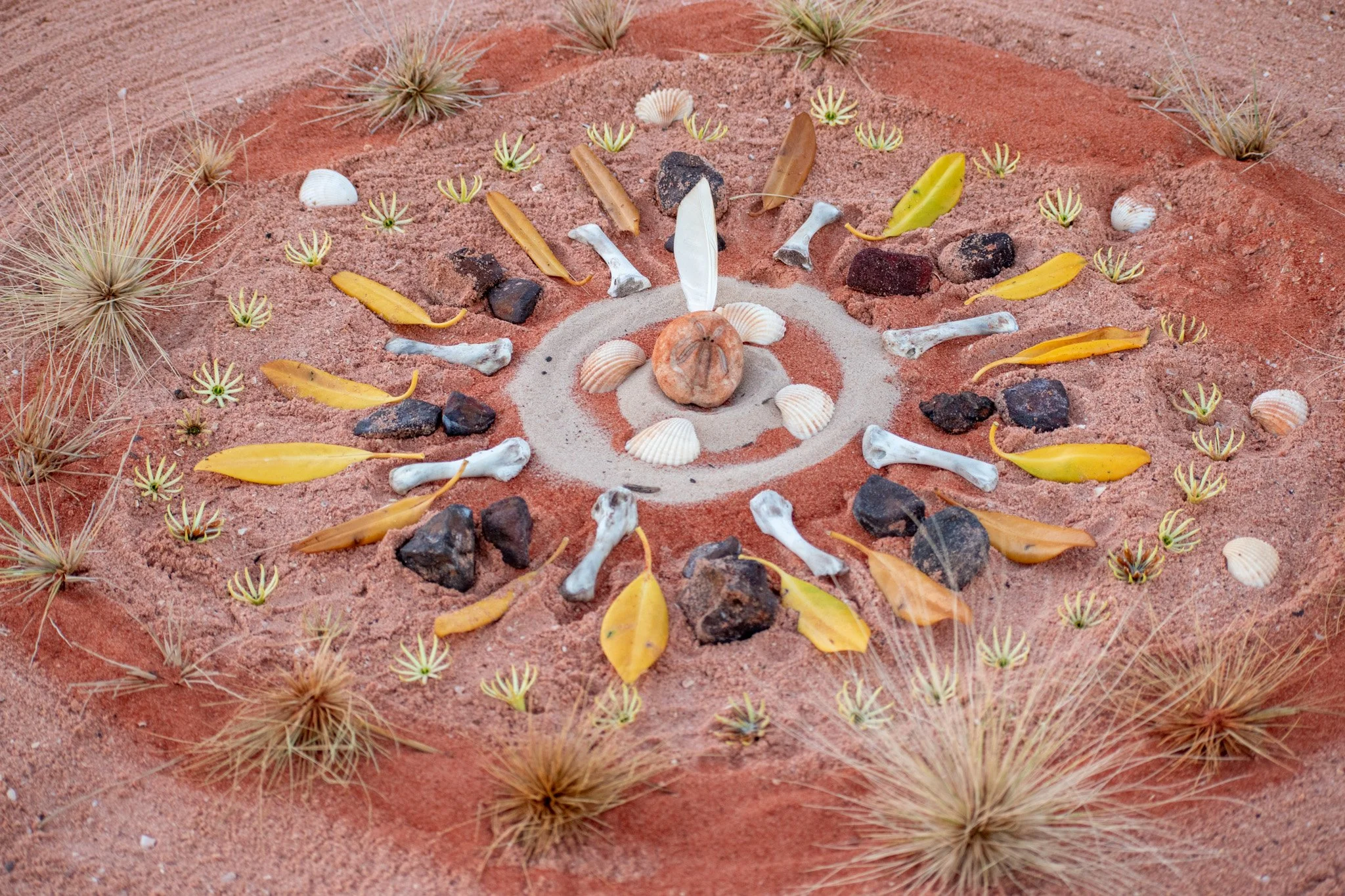 Photo: Halina Storm Photography