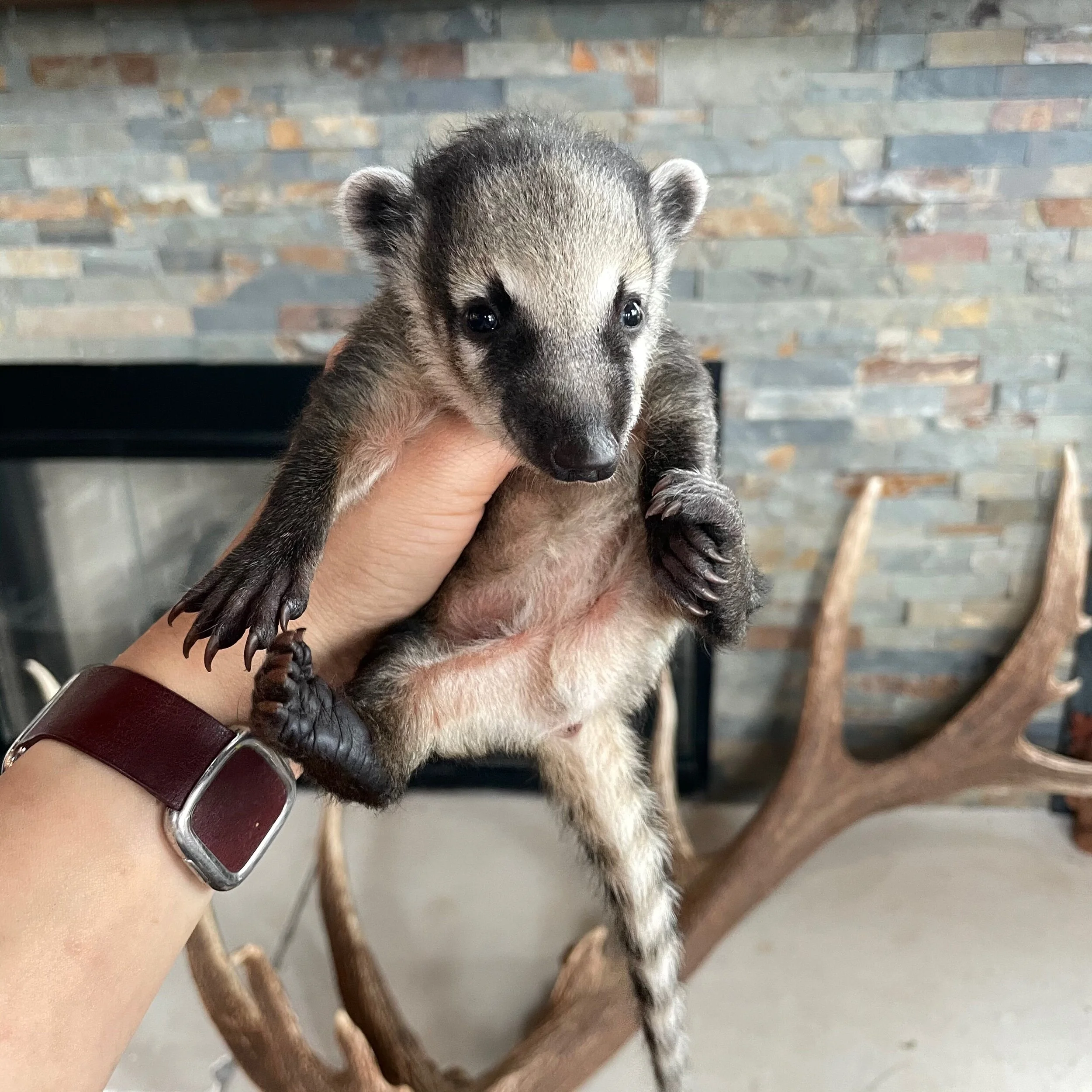 8E54E8AB-66C6-4AC0-8D42-EEE1CE8DCC96