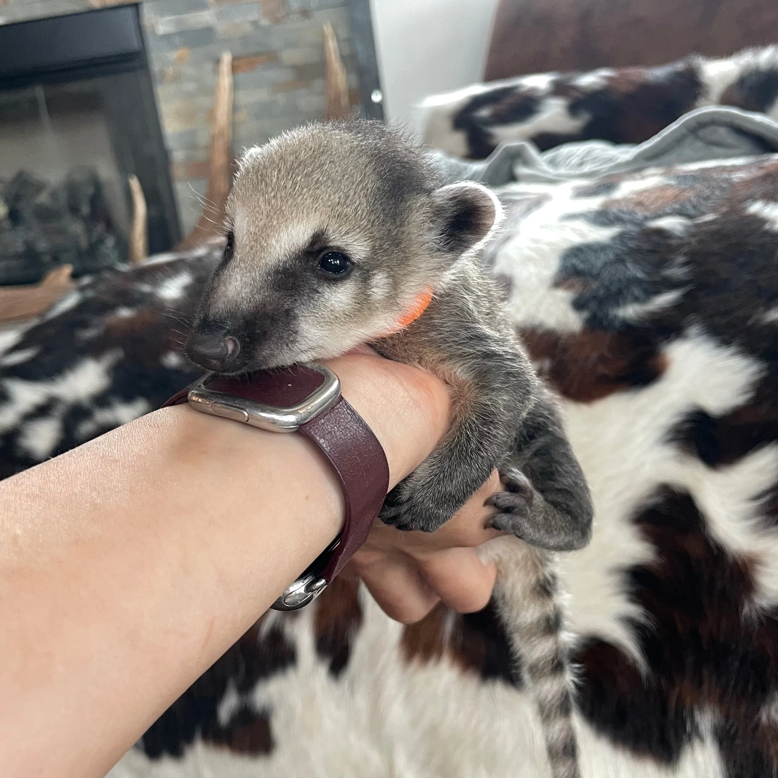 AA509C8F-333D-4E30-97DF-0D19C1232231