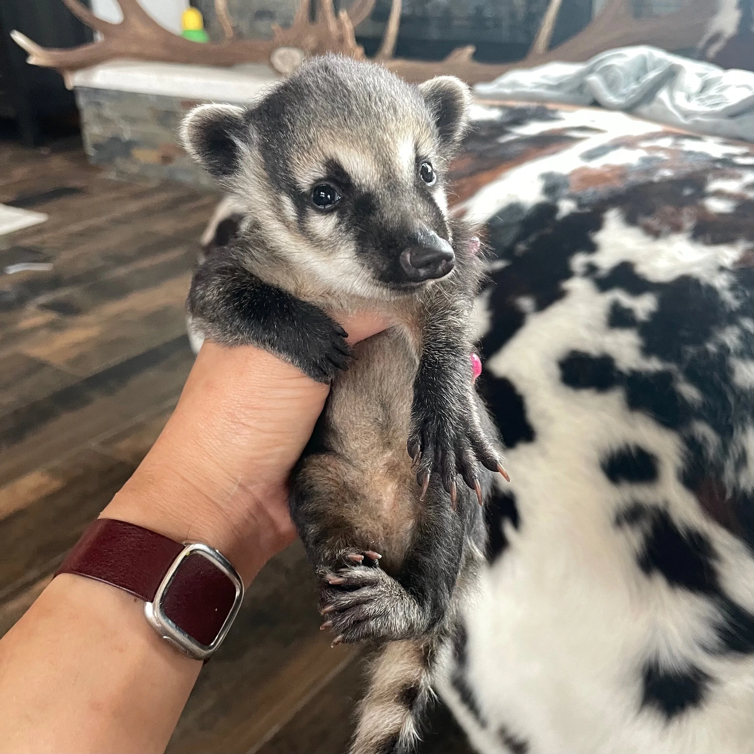 E41DF132-EA1F-4ED0-9E1C-69EE5520FBE7