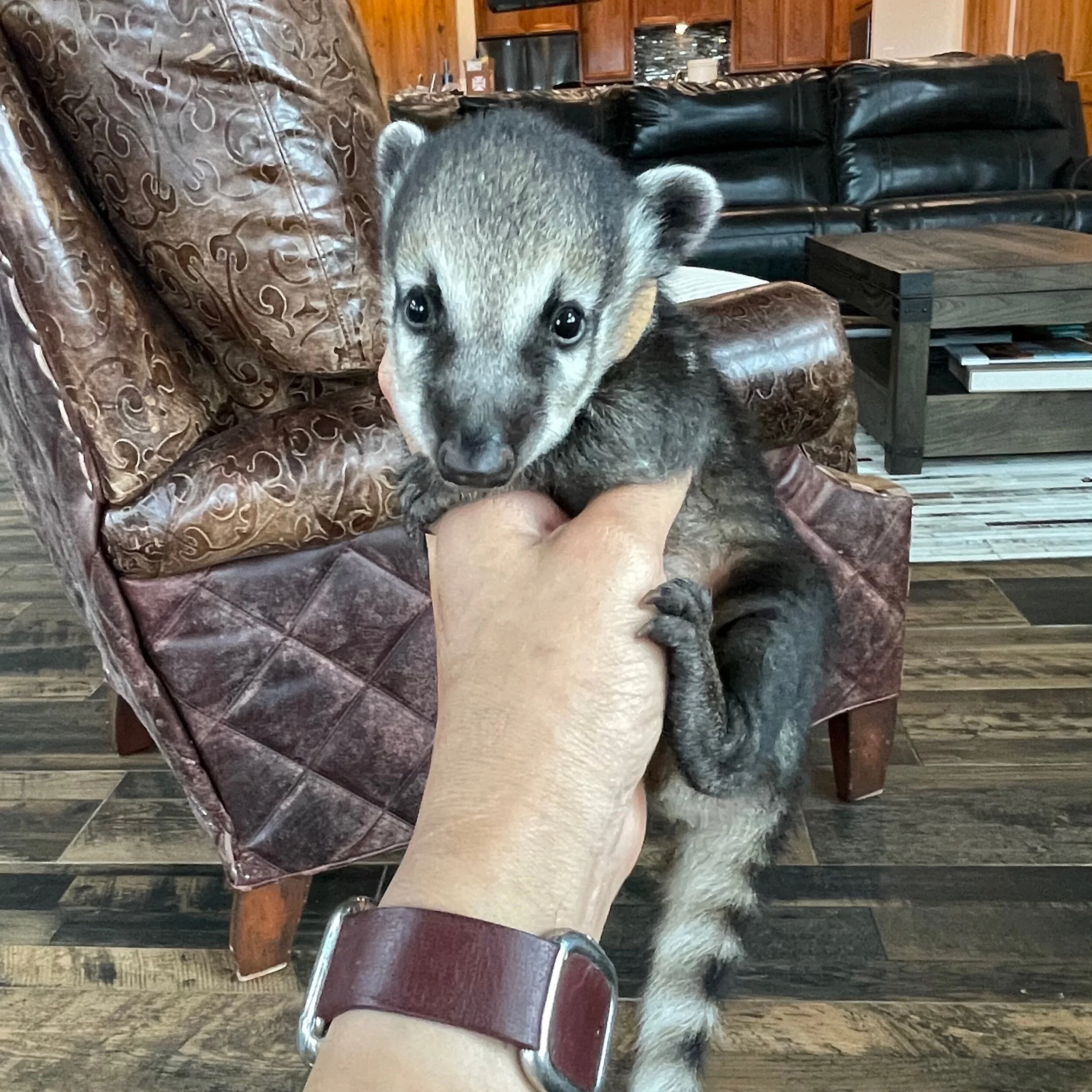 721E401D-FF94-42E2-ABB8-AA804544D610