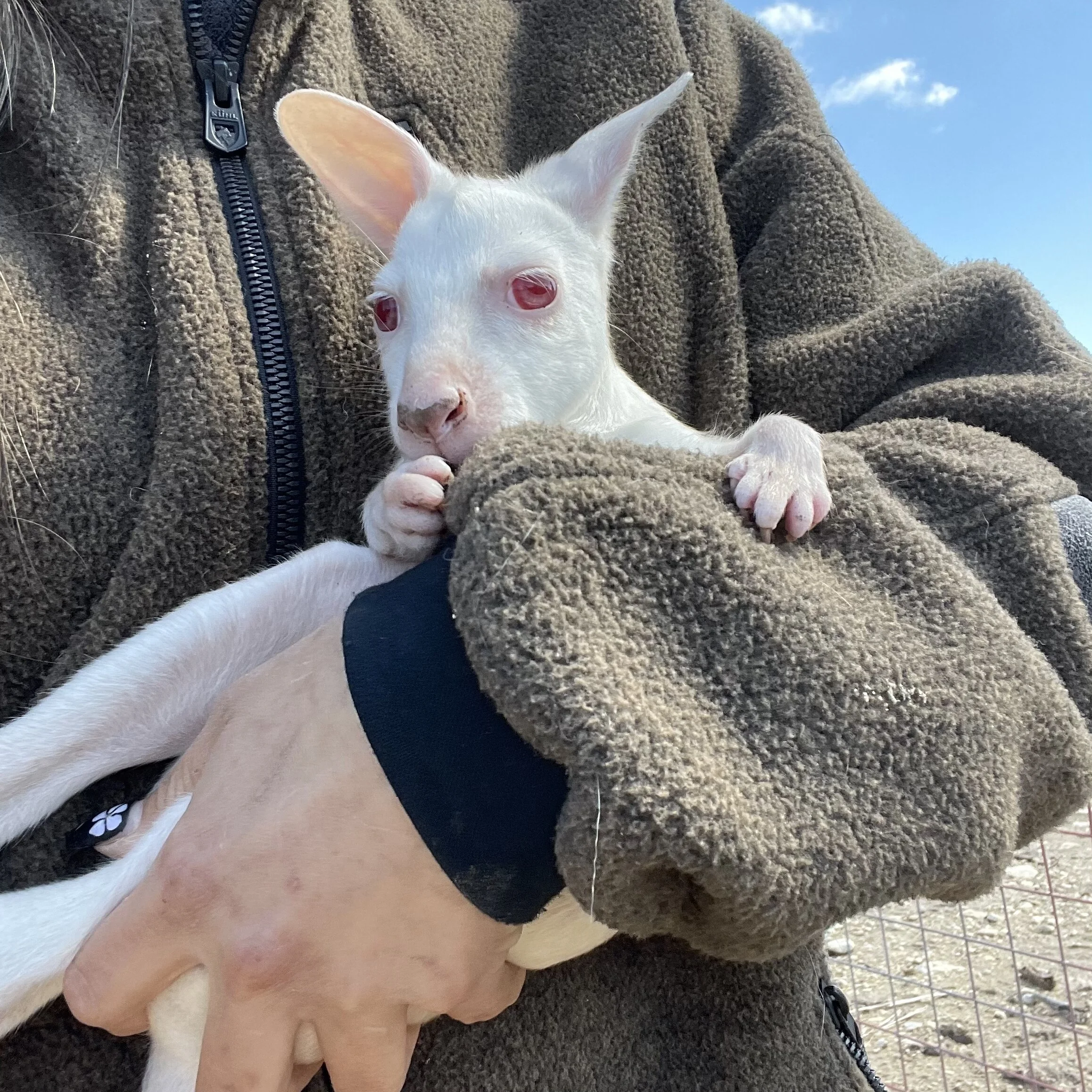 F0659837-D6E8-443B-A776-3DAC75B4646A