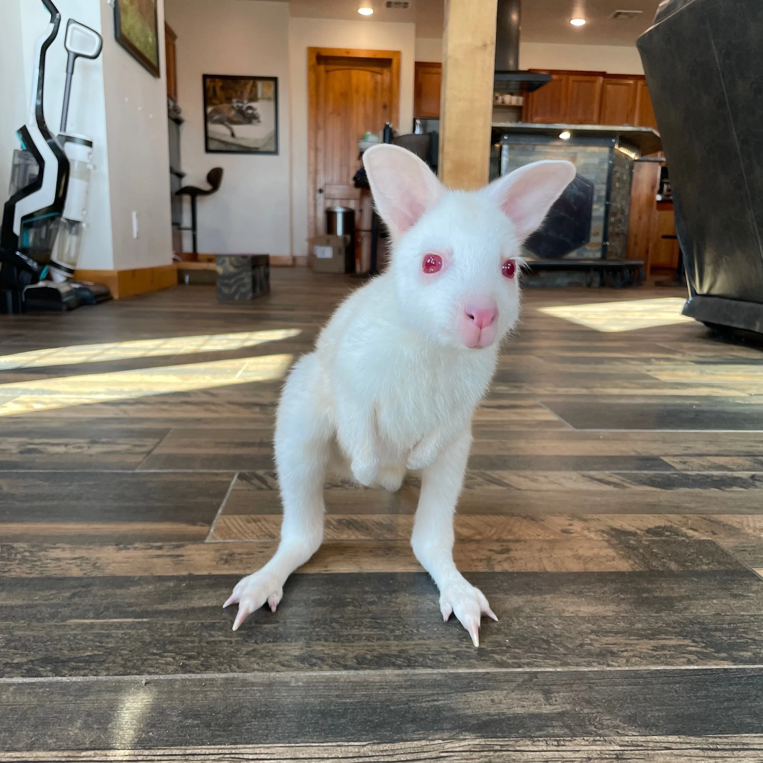 D6EC3470-8BAF-457A-87EA-409DCF3EDA12