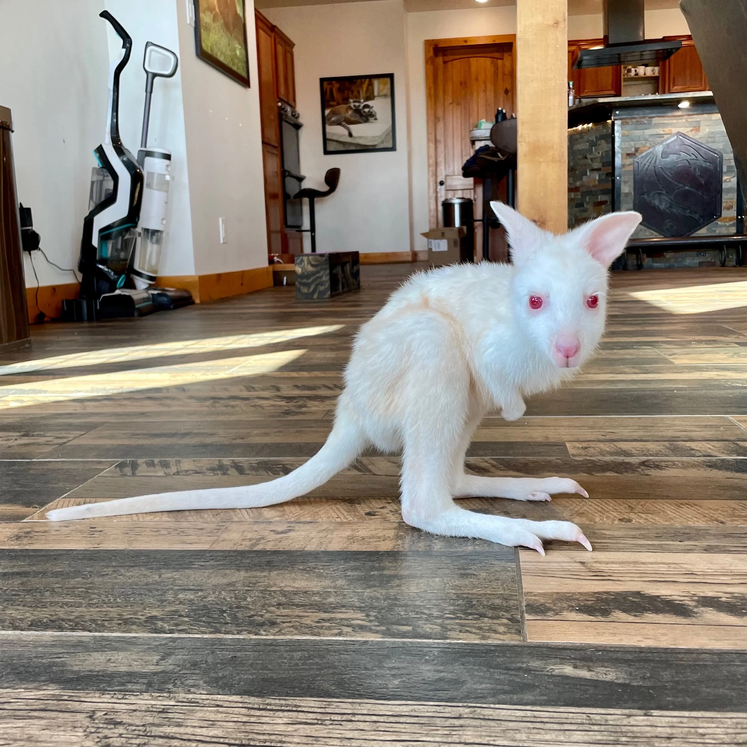 43DB6EEB-2BFE-4938-A7DD-01117122AE9F