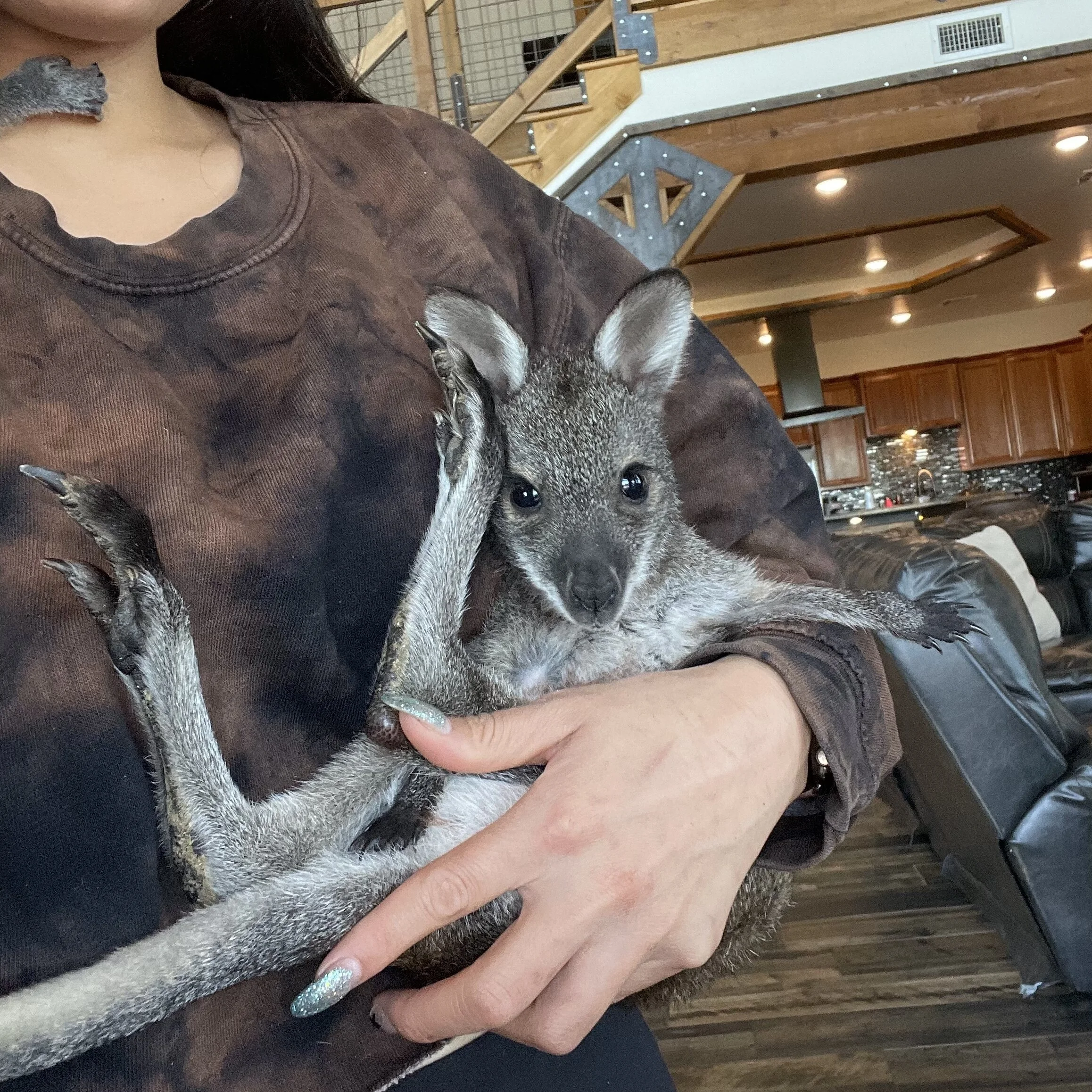 4AC21B78-1037-462E-AFE1-22A8C5E32CDA