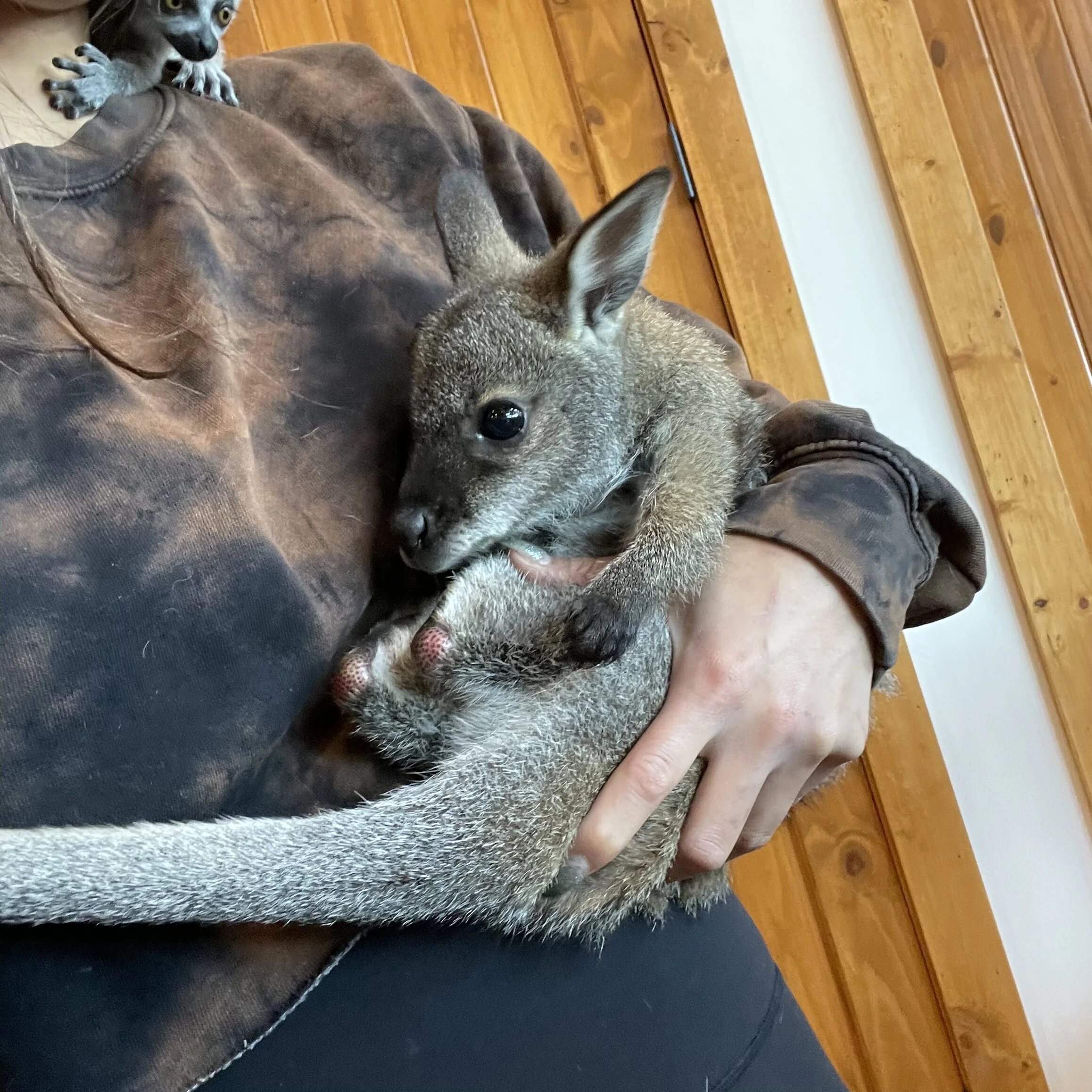 F3A4BB9F-2AA1-4A28-B980-D855D93D4B56