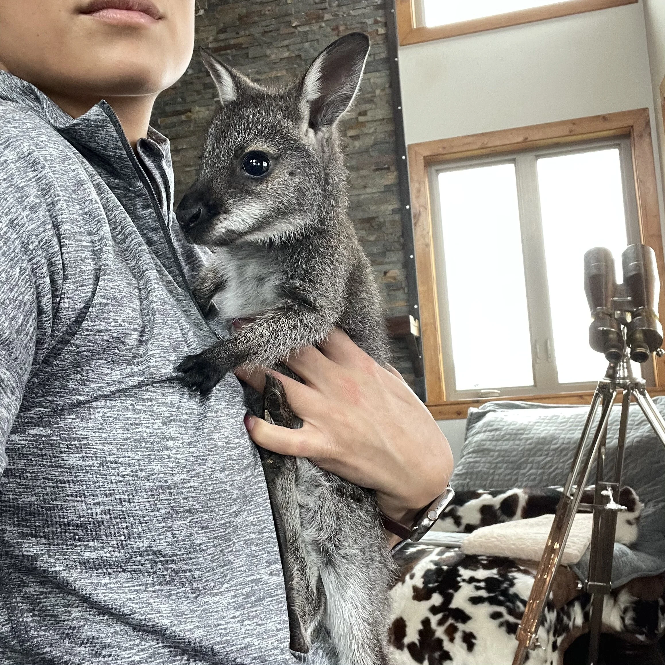 D47A5609-F22E-4477-9F75-200BC954CCCD