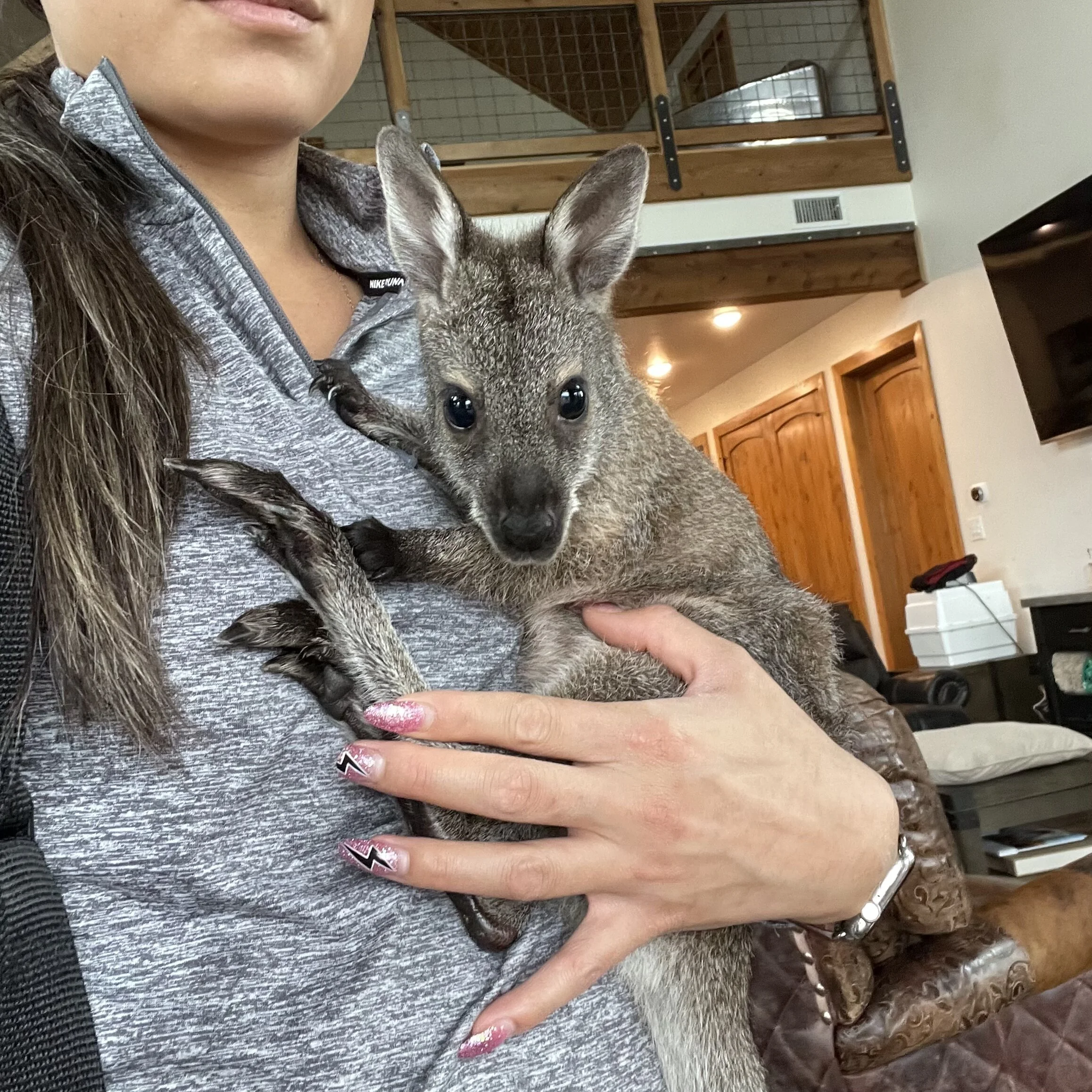 6DD2875A-E1EC-498F-B2FB-22C0B0ECFA50