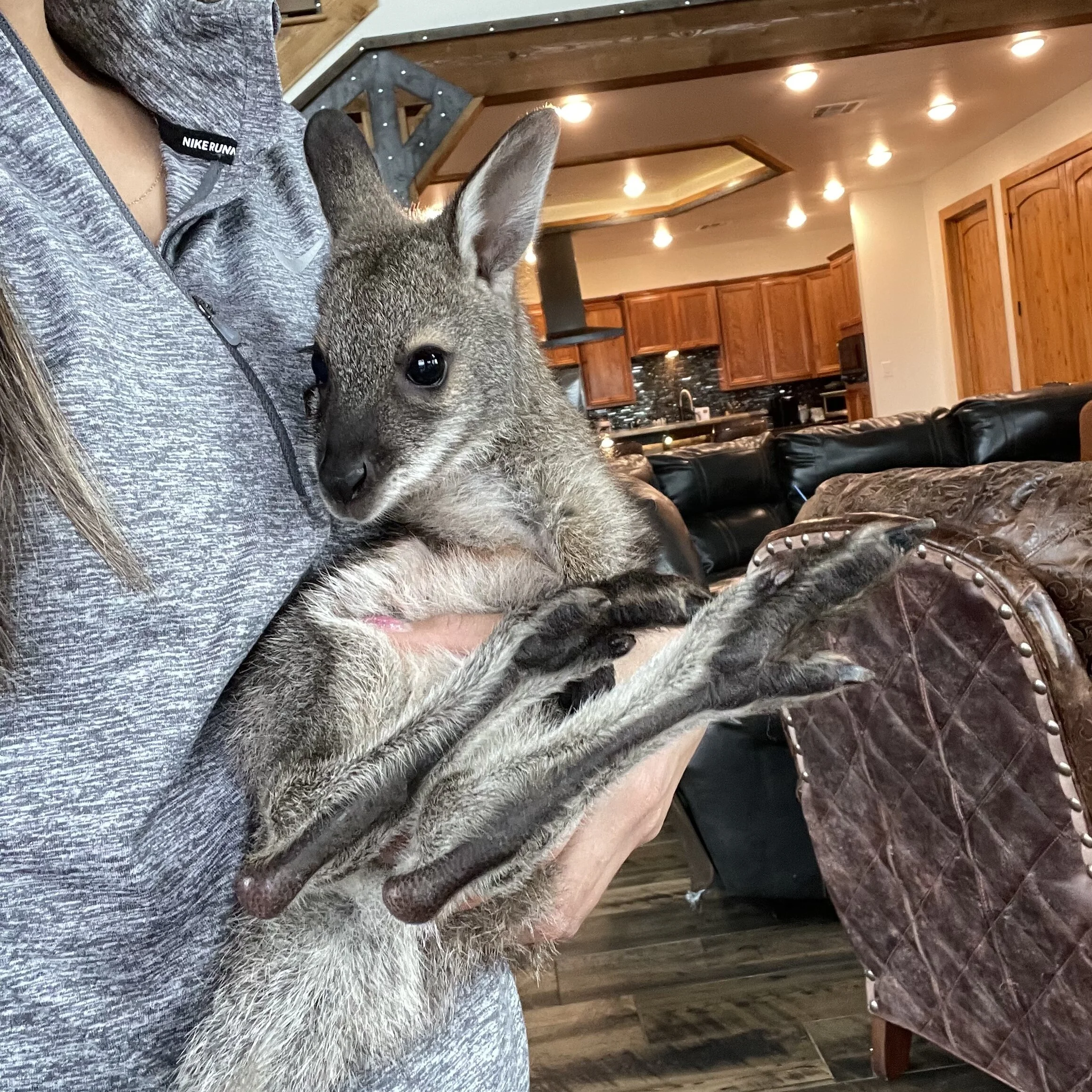 FA67E371-374B-4001-9D59-B2C81D17D487