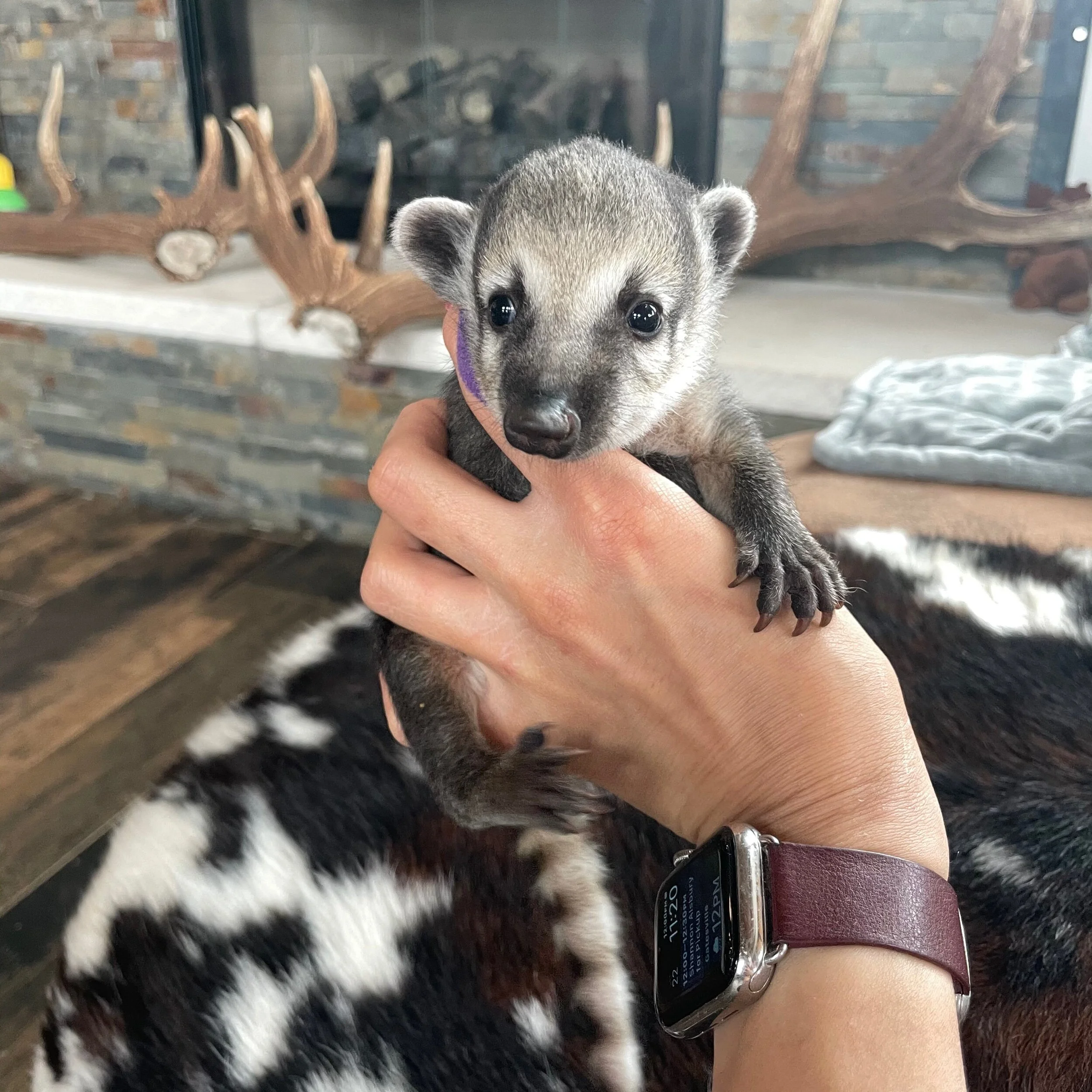 5A3BB671-1414-4D0A-AABD-113BC12FD0B5