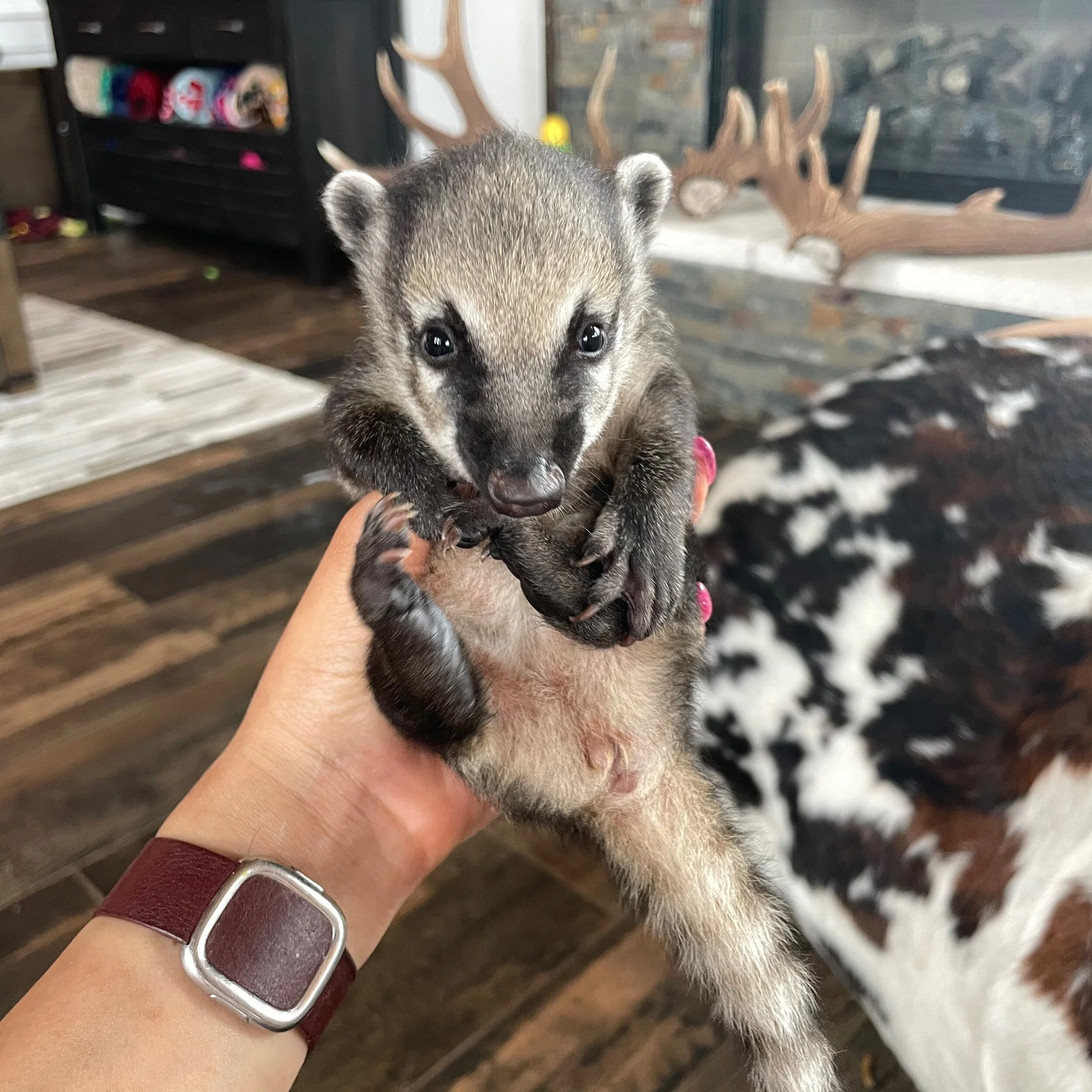 7A9FC063-6FE5-4FC7-8EA1-F210A29A7753