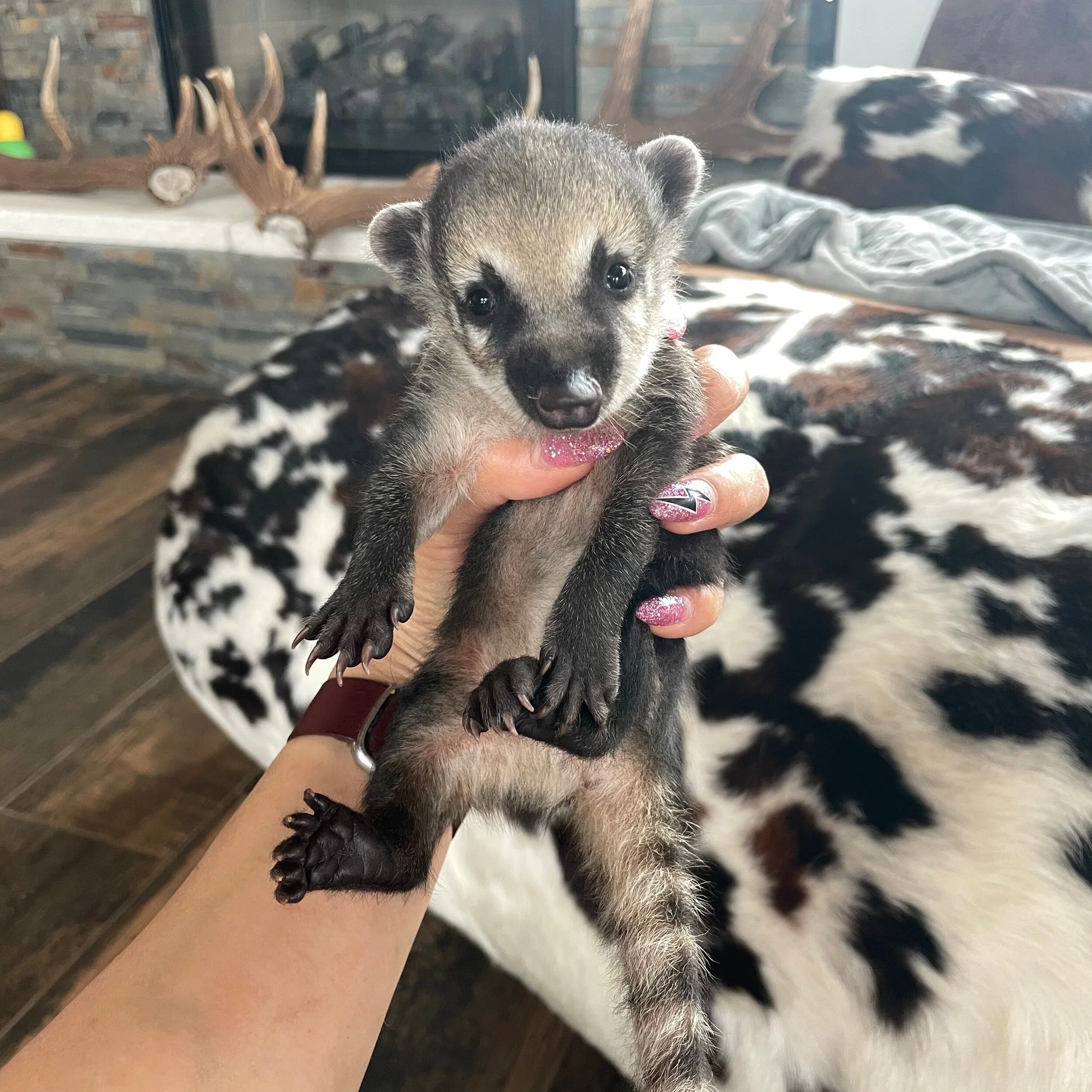 1D021196-ADB6-456B-8A50-1C1044A55892