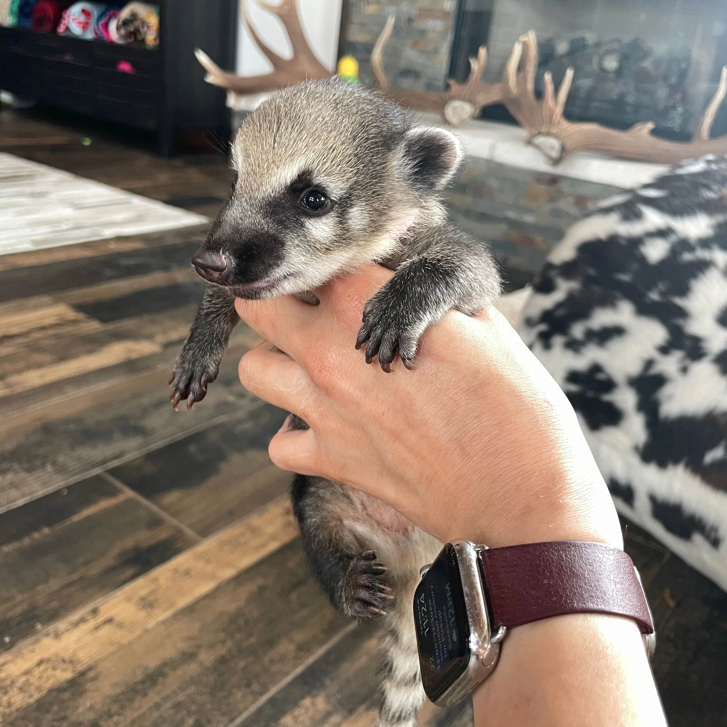 9F5DC942-CBC1-462E-925E-03A4333BAEDA