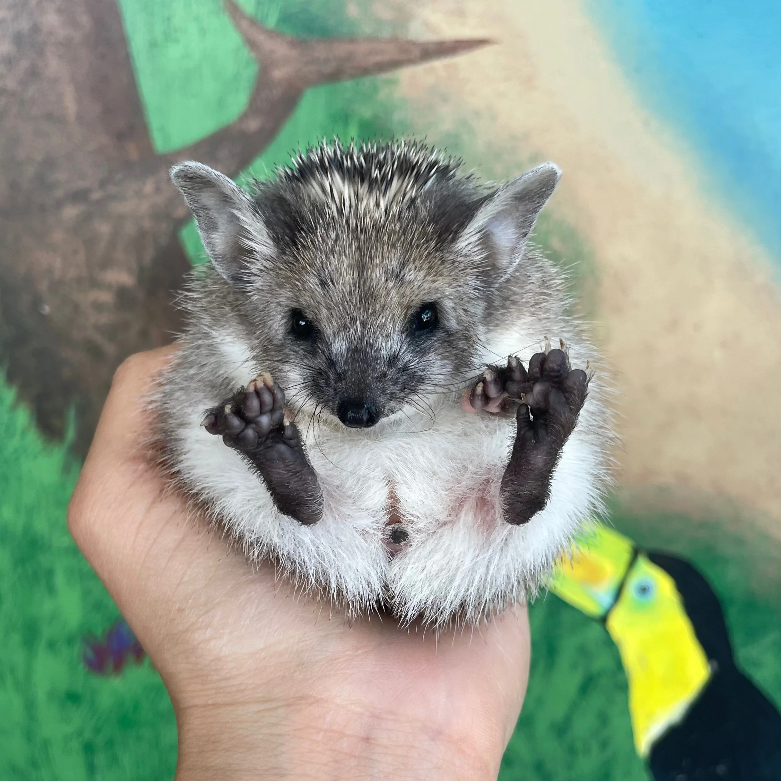 157F720D-45A5-4FD1-ADF0-4967D5710EBB