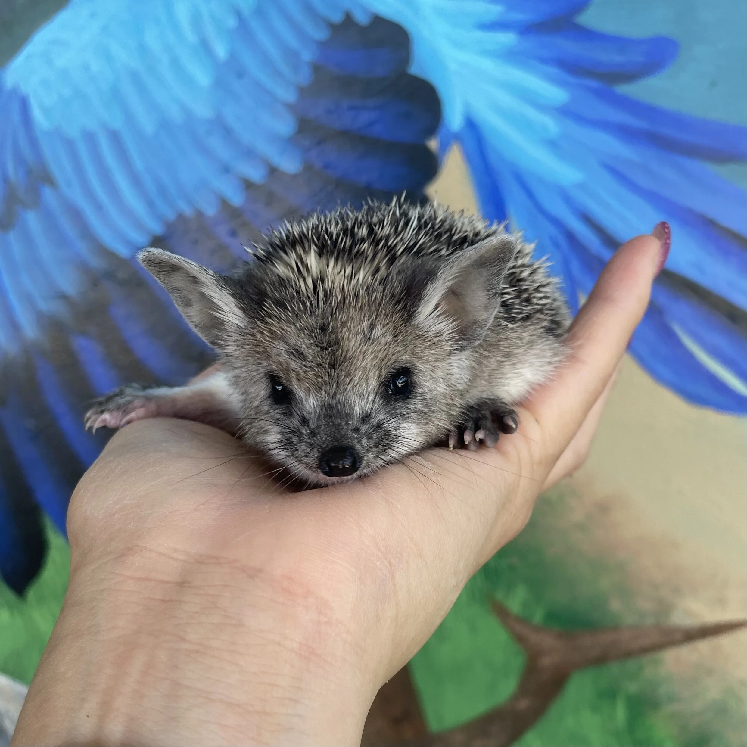 0EAE21BF-C49D-4C97-8963-DAD848C80546