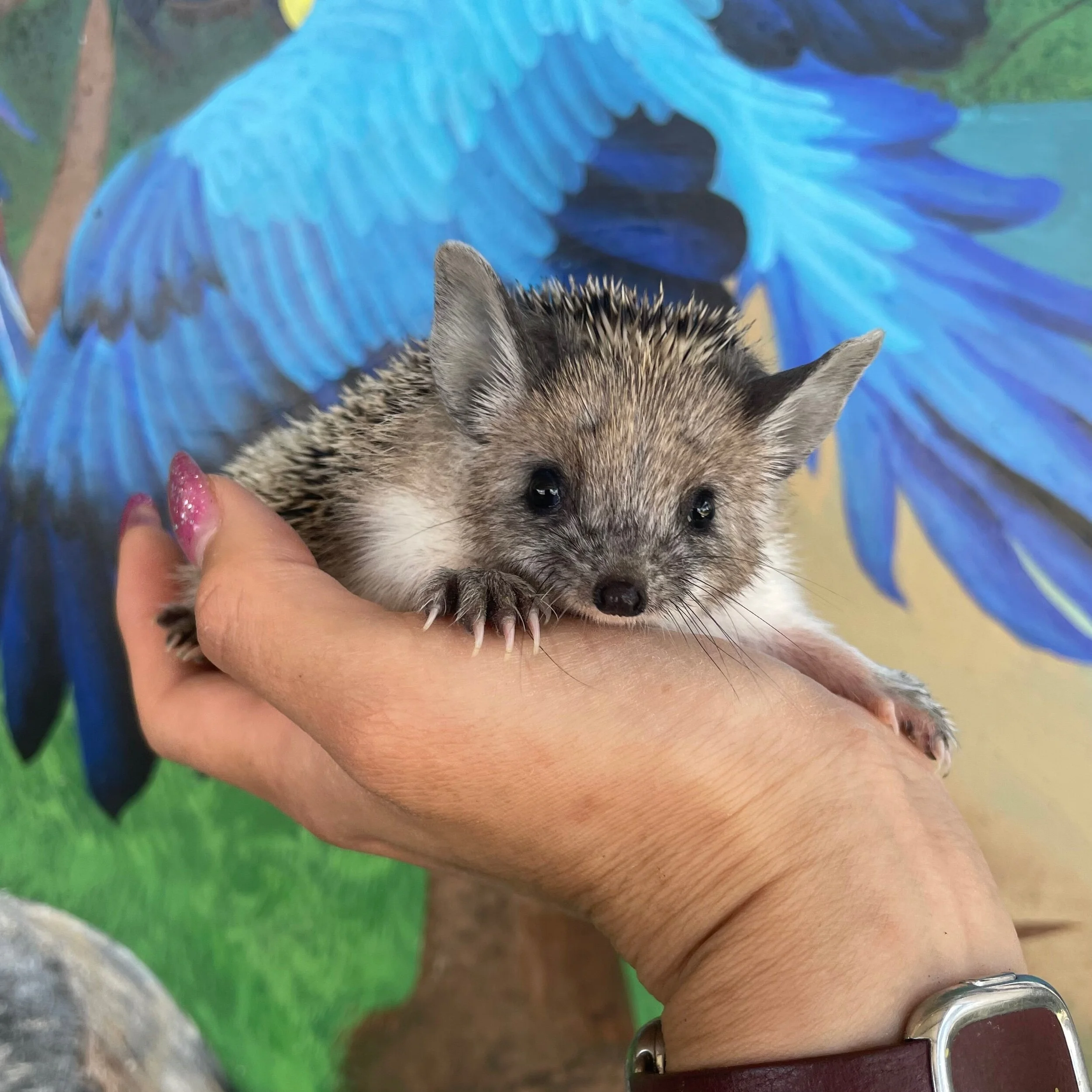 05065A6E-2FFD-4271-BEAF-6D44E9DF7723