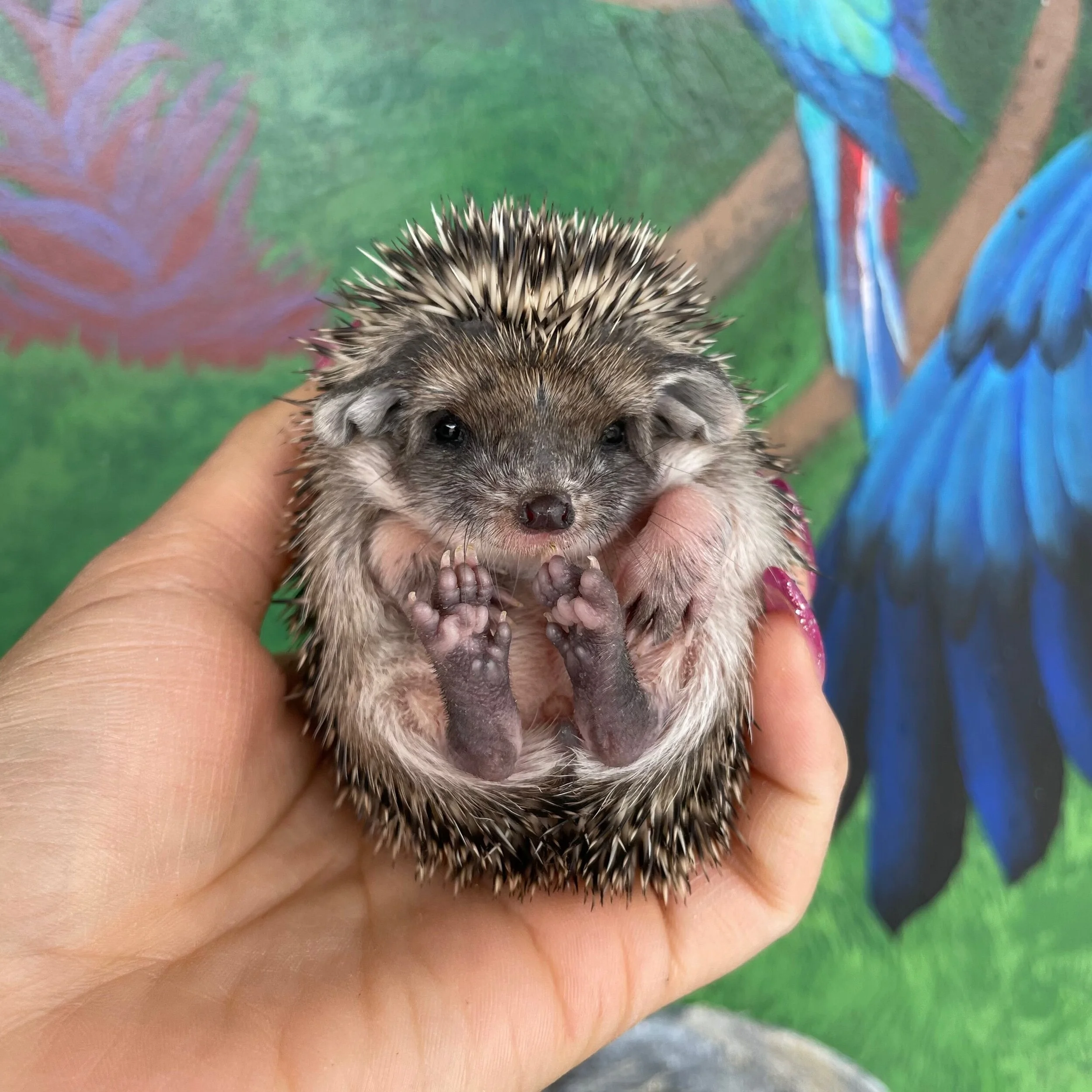 B88CF0A3-A7CB-45E0-A1F0-7D381EEE9DA0