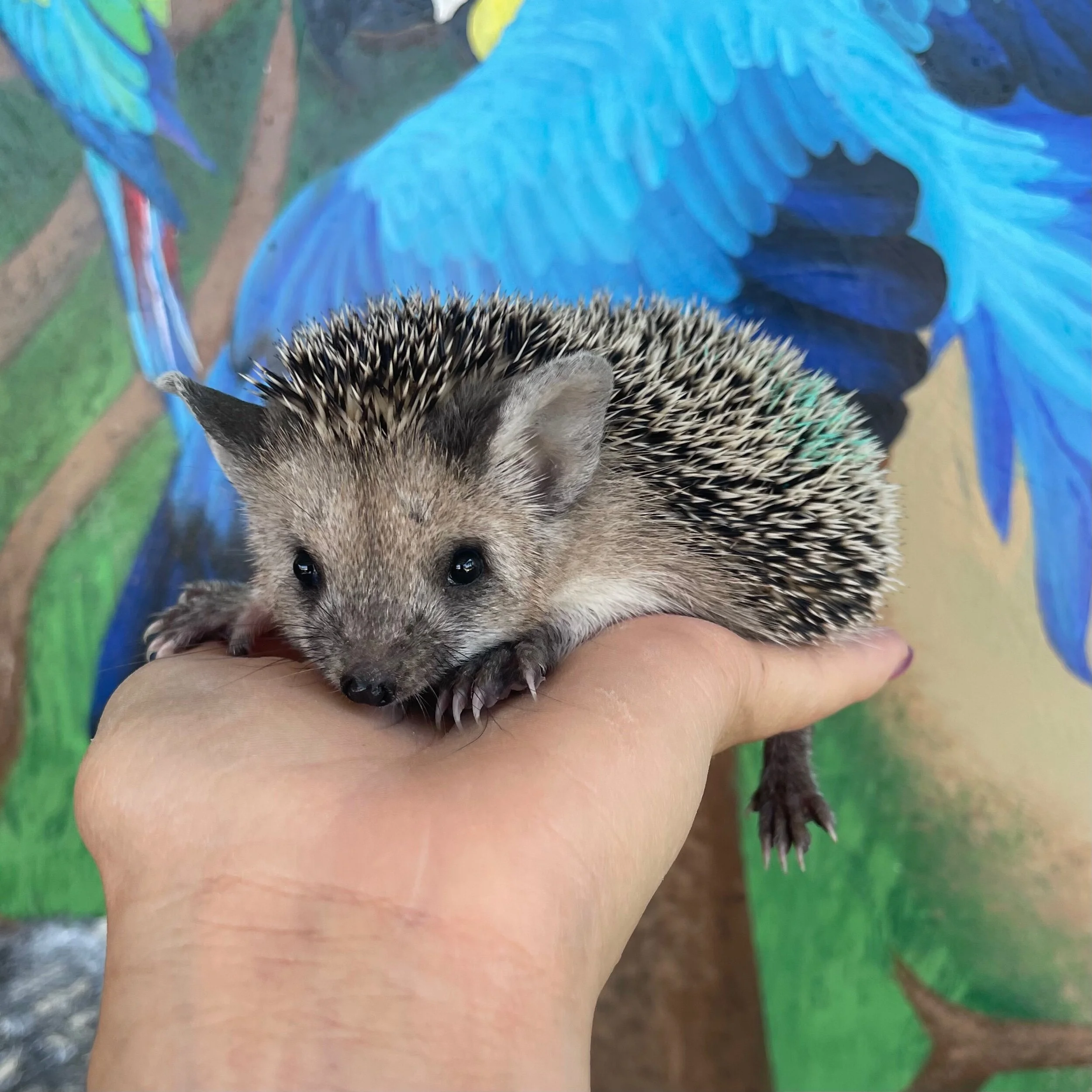 3A5C7FFA-1302-487C-8A51-705FEC767E2C