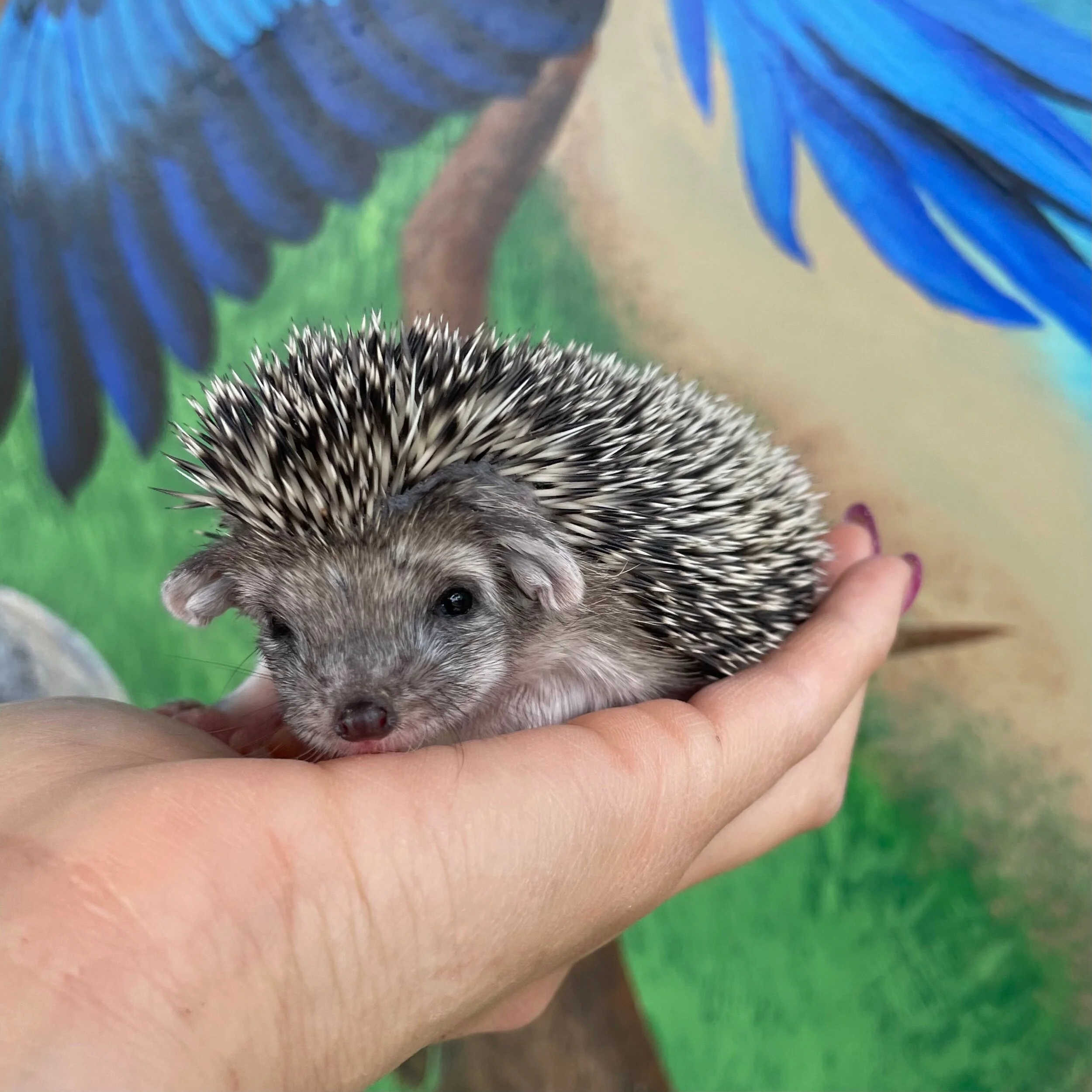 080C1EC0-EC4C-48AB-8758-DF24C79E149B