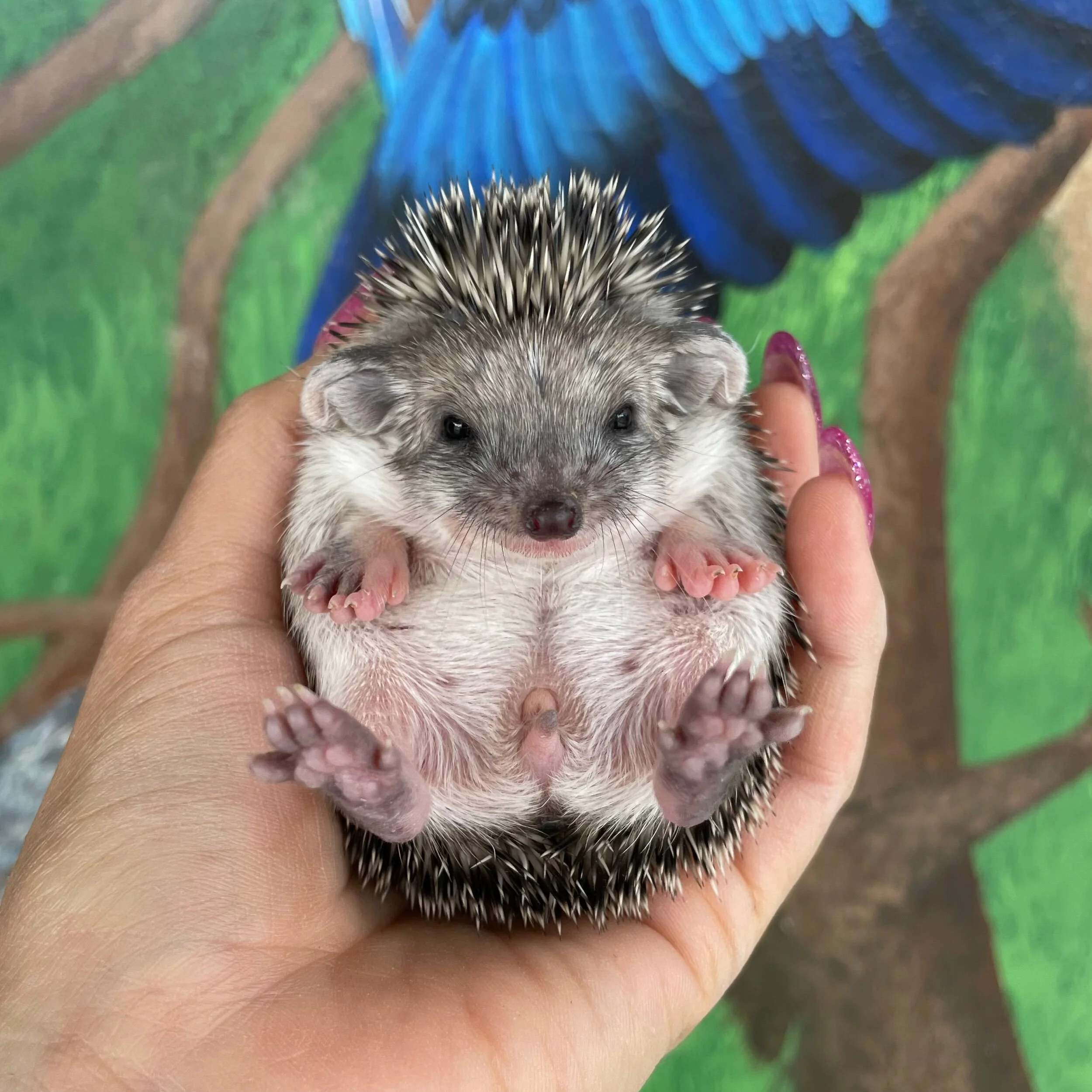 BD3E4485-68E9-449F-BF0C-A72FED17A997