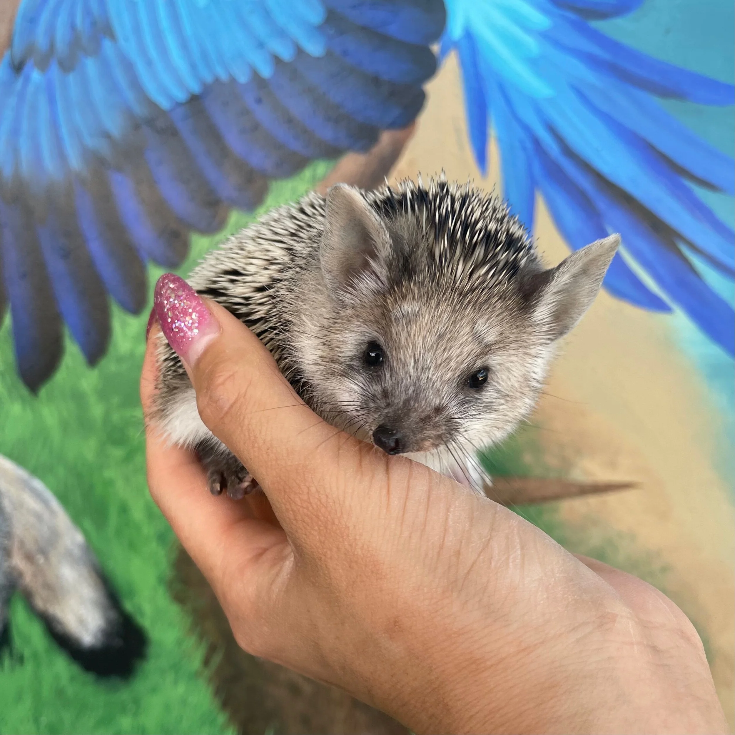 FBAEF4E4-14EF-4AFB-9AAC-DA3292362602