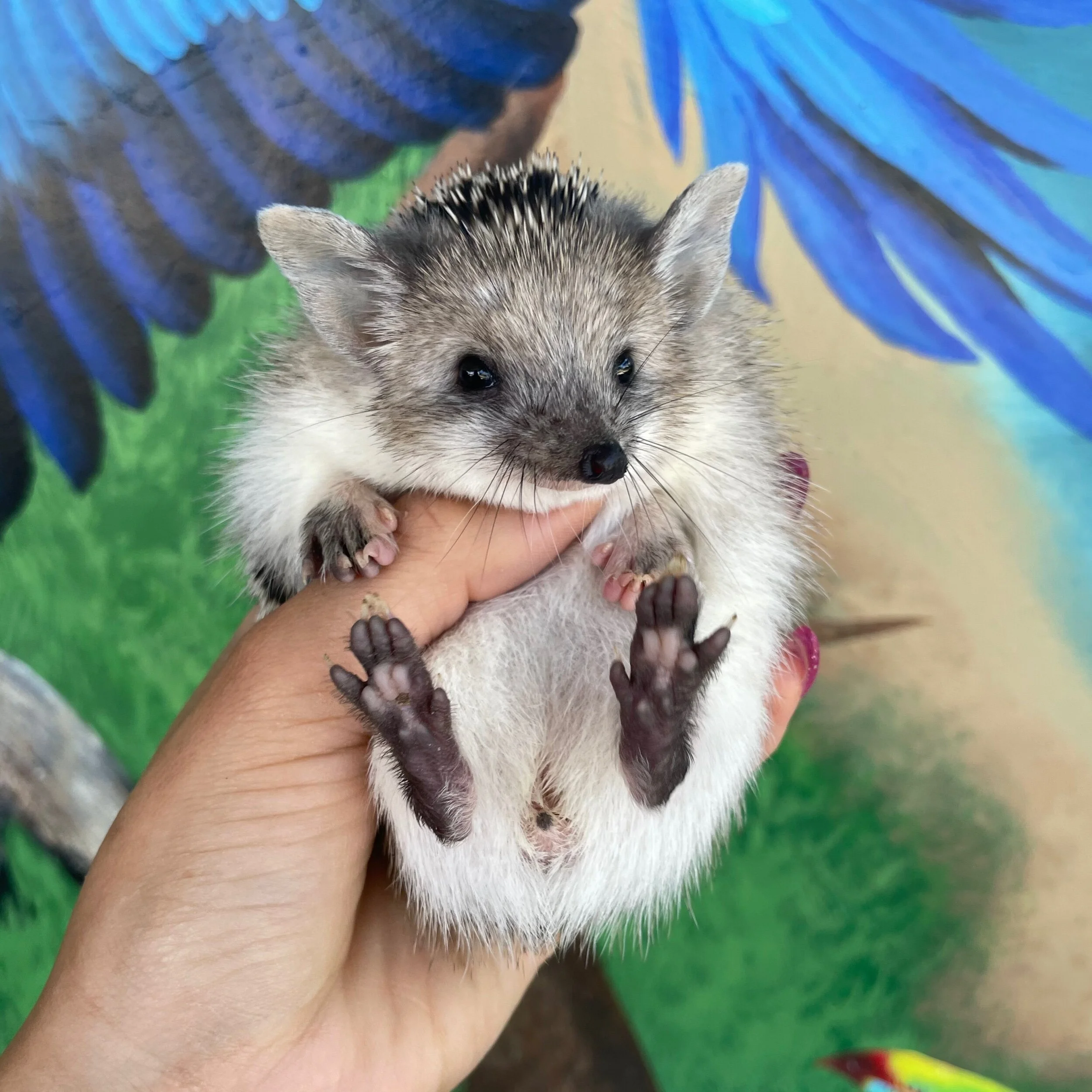 FA18B83F-5449-43E8-9C48-82206AA9FA36