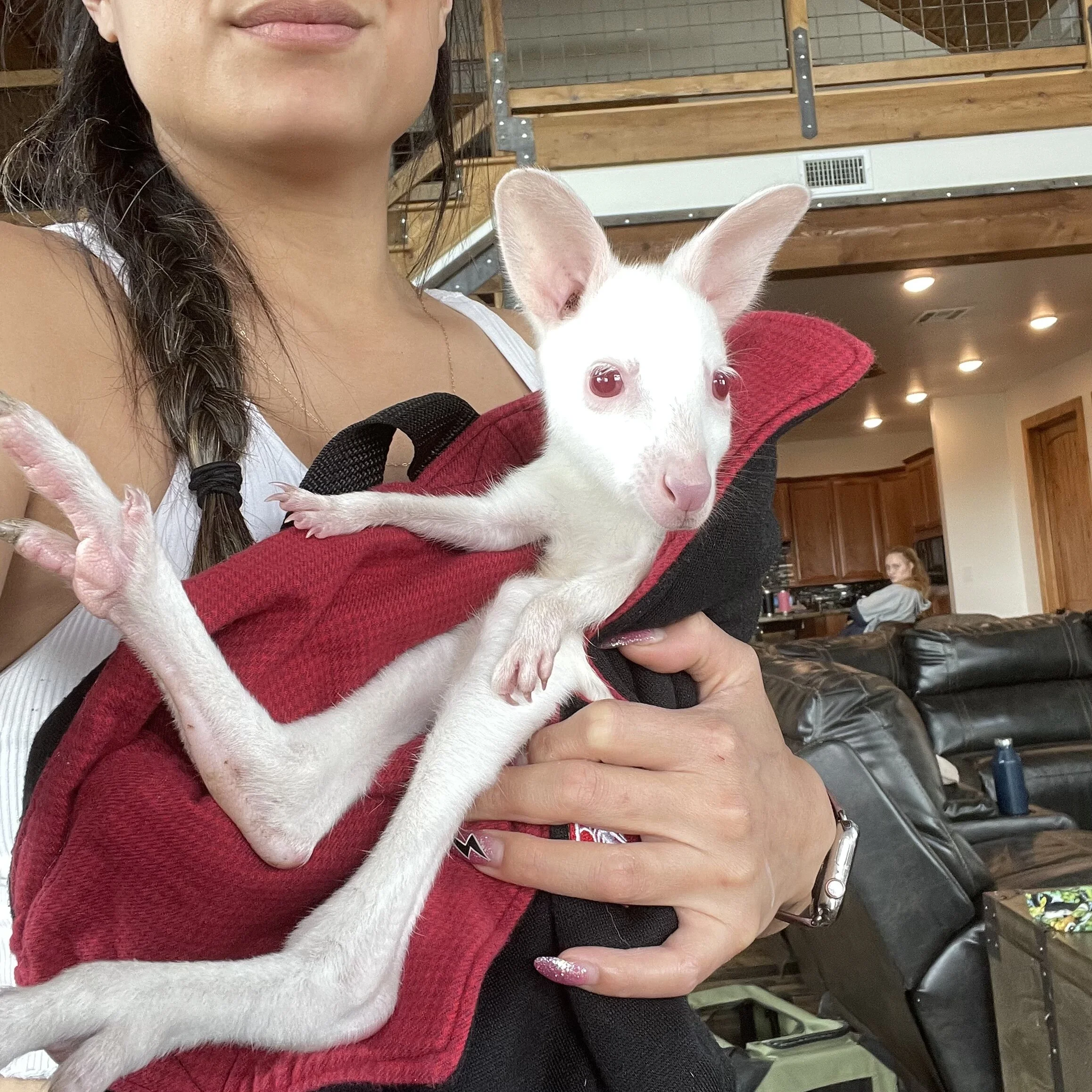 1656175B-BD3D-4E11-B9AA-E4882086D8C2