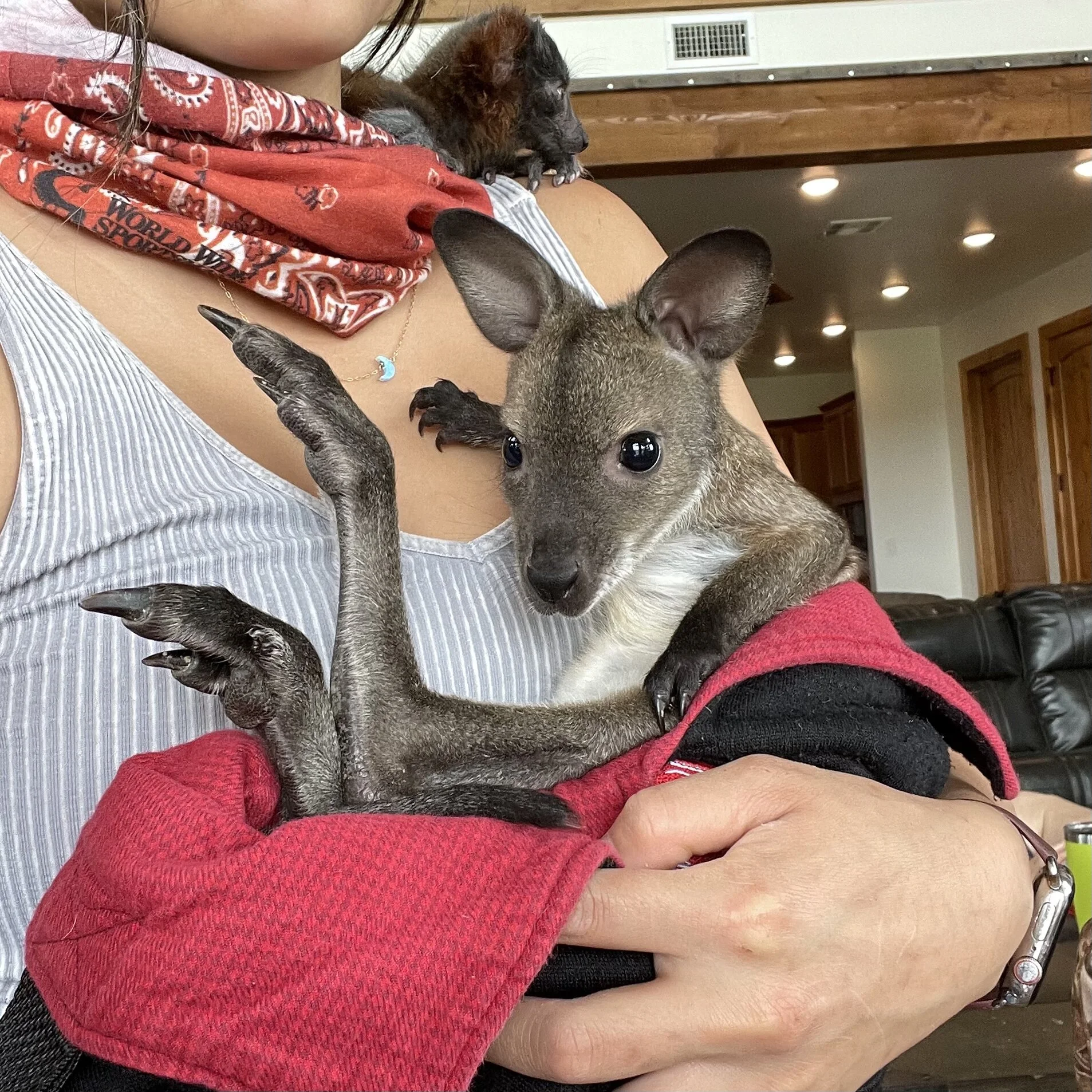 B136786A-7439-4B3E-AC01-ADAA62275957