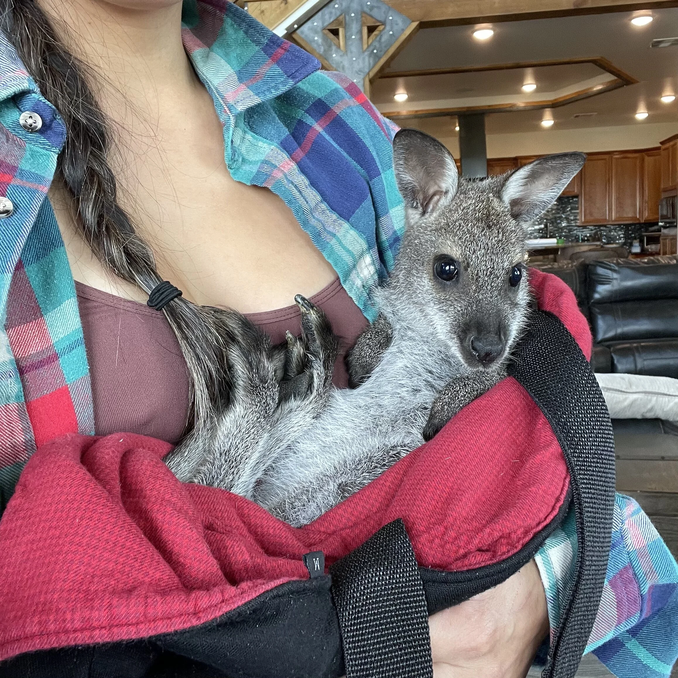 039ABFD5-C034-4957-B537-E75E182A75B6