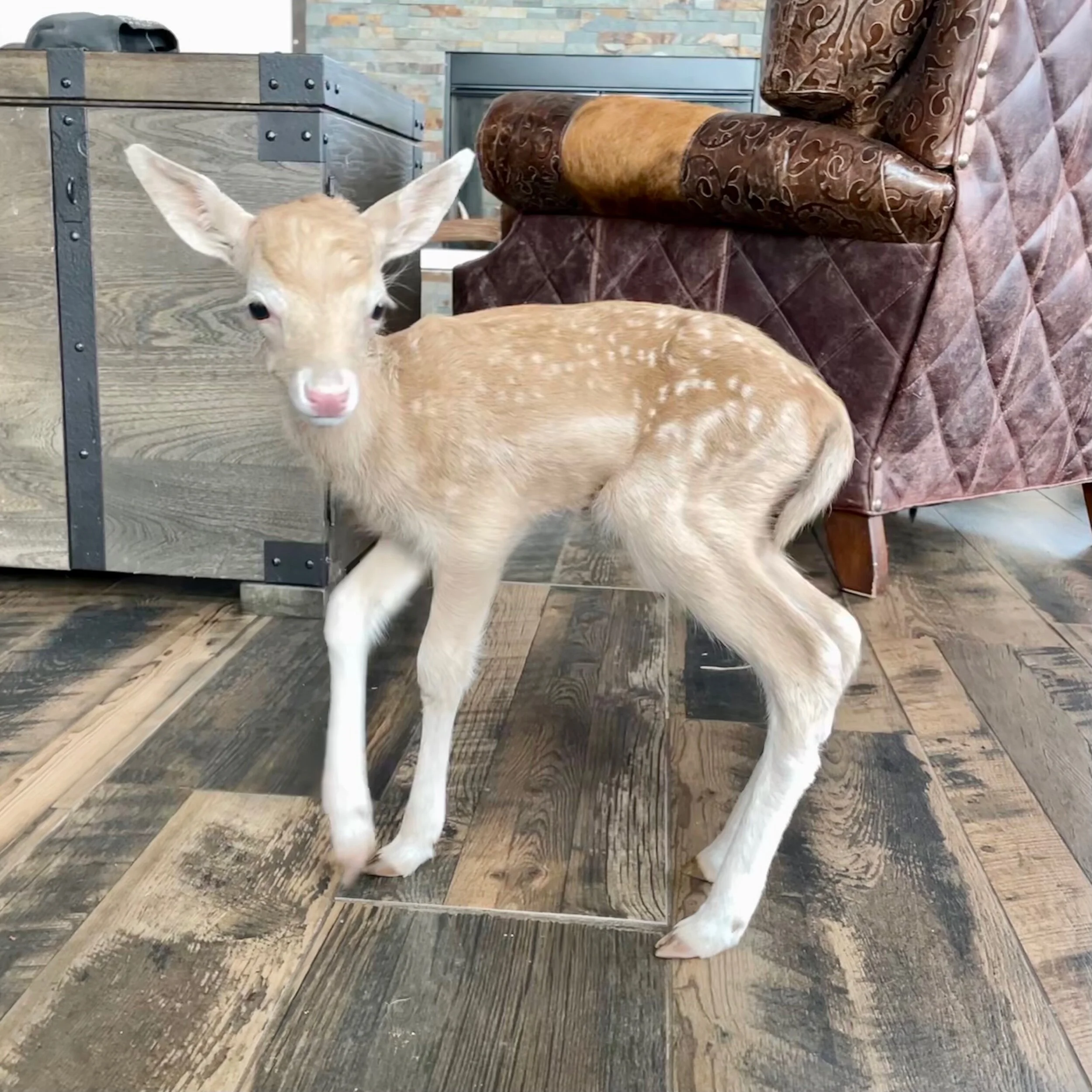 6F723CF3-2F27-4EDE-B0BE-FF774F2A19F8