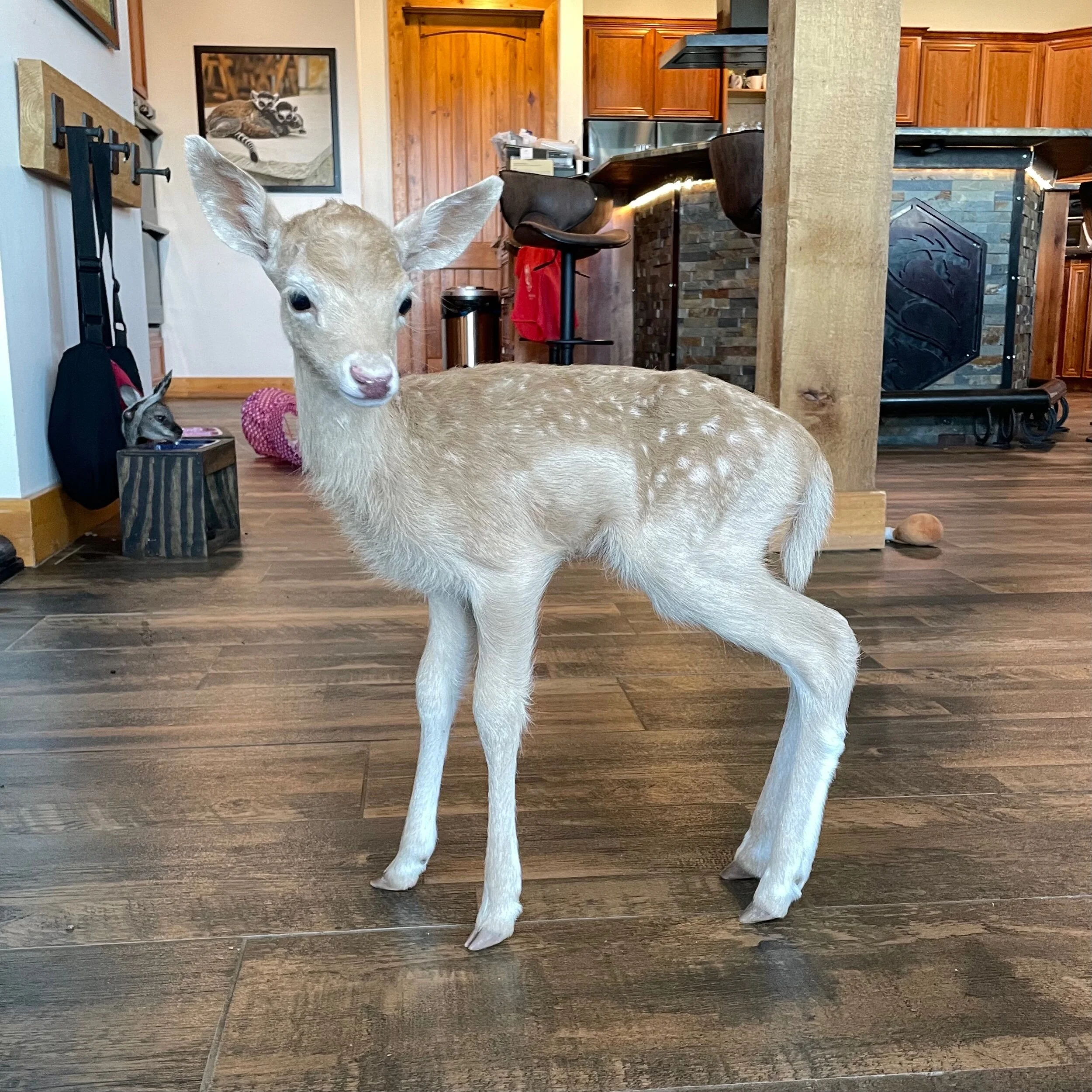 57557B9A-C0B1-40BF-BE17-5D10A41CD183