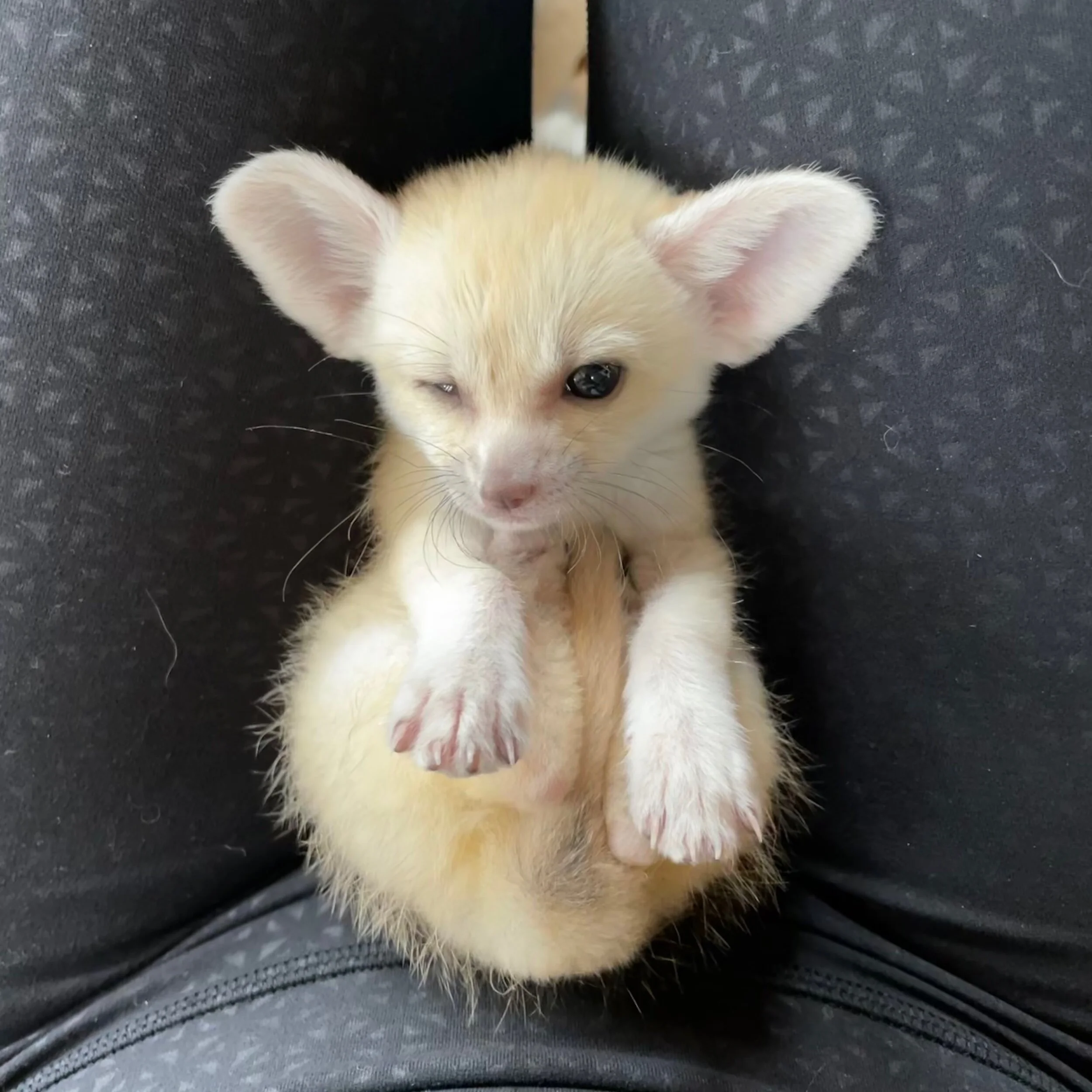 F3AE429E-6E41-4A1D-927C-629C80299CDC