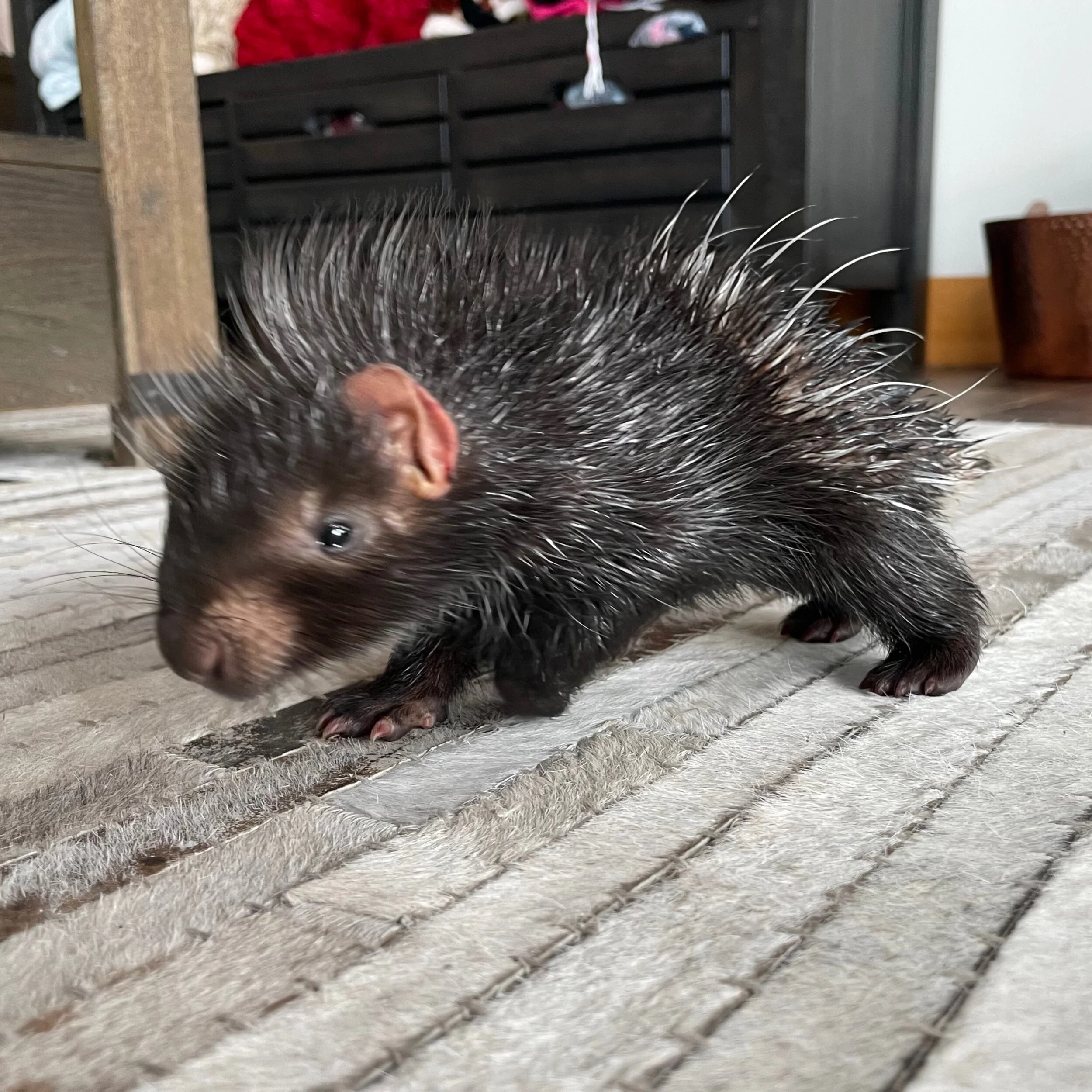 8A186BAB-20BF-4C3E-8FC1-F4DADAA8B372