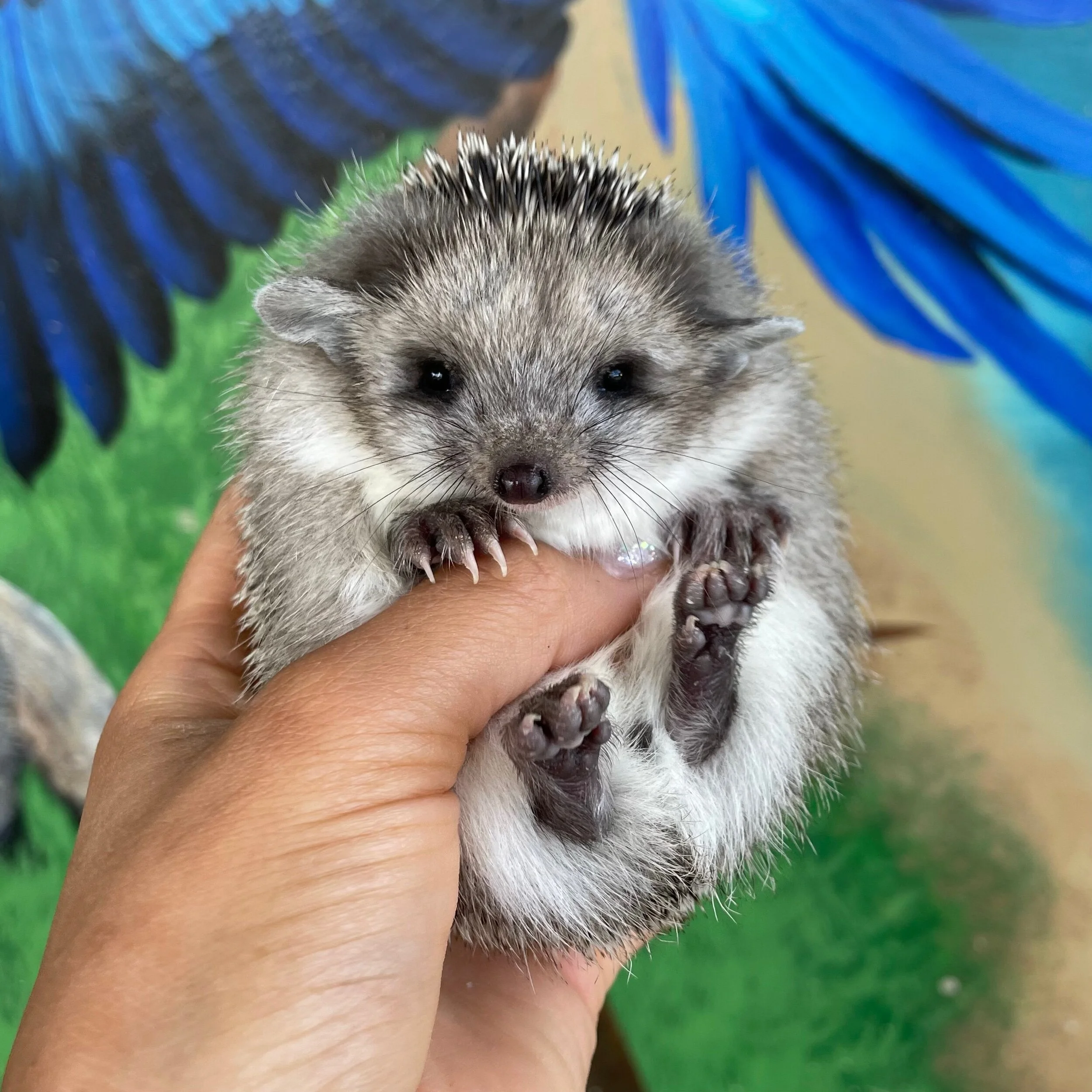 2777830A-2CD9-478E-AFB4-94310DF8E497