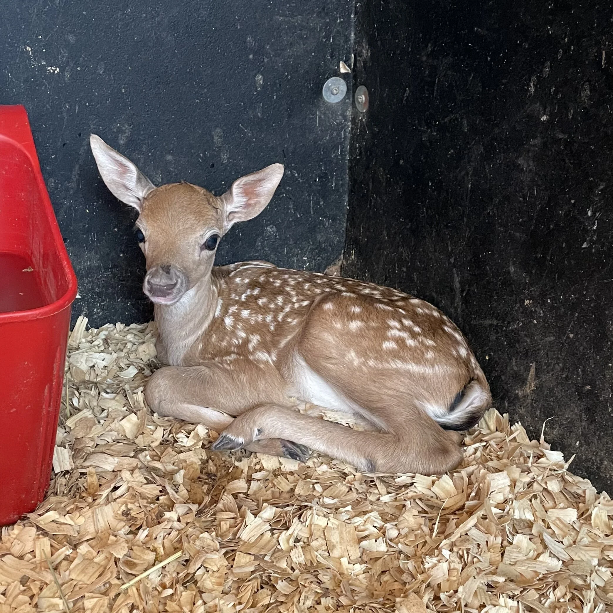 85E90175-E19F-427C-BEF1-D6AAD5316429