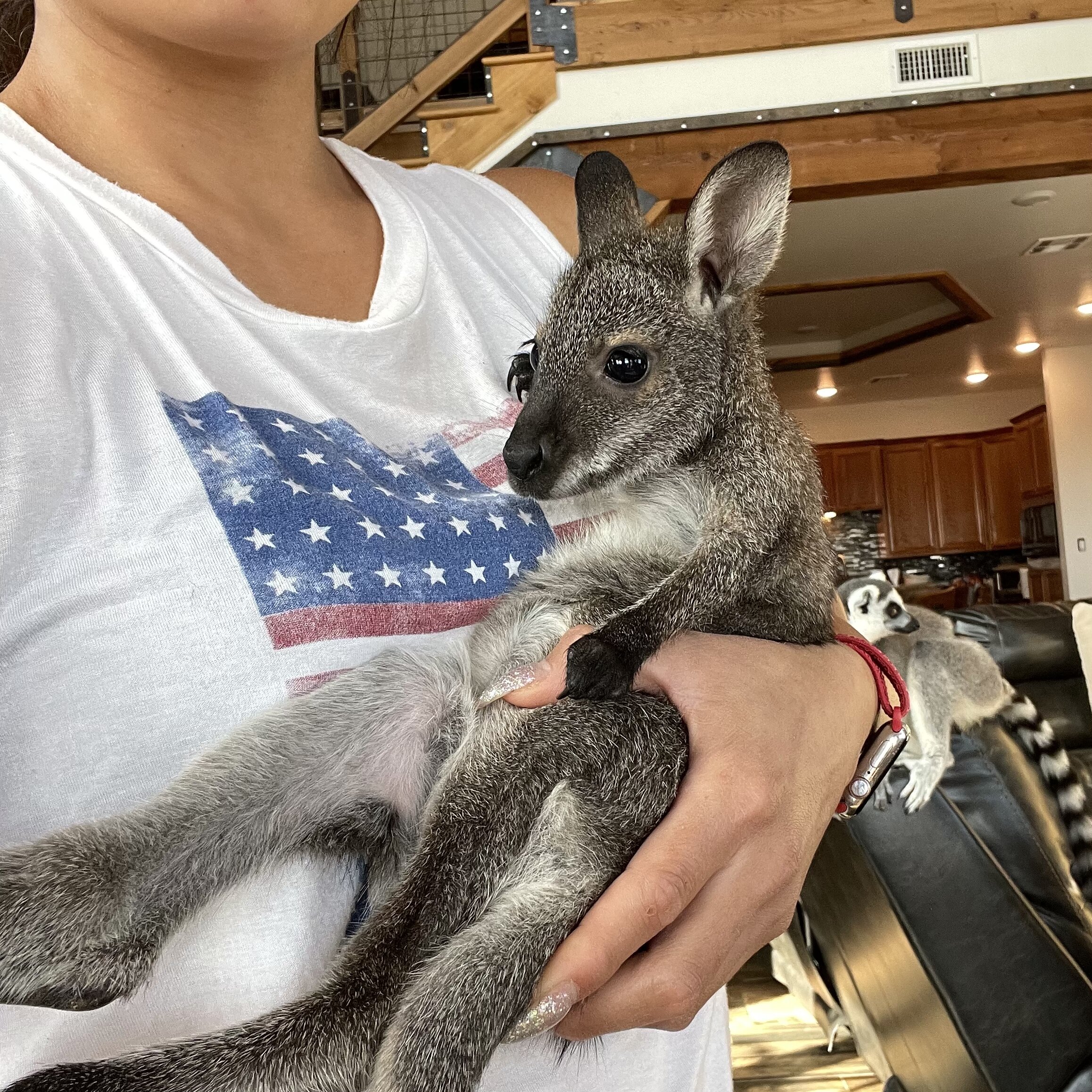 416AF676-FCB6-474A-A371-9DA7631C019D