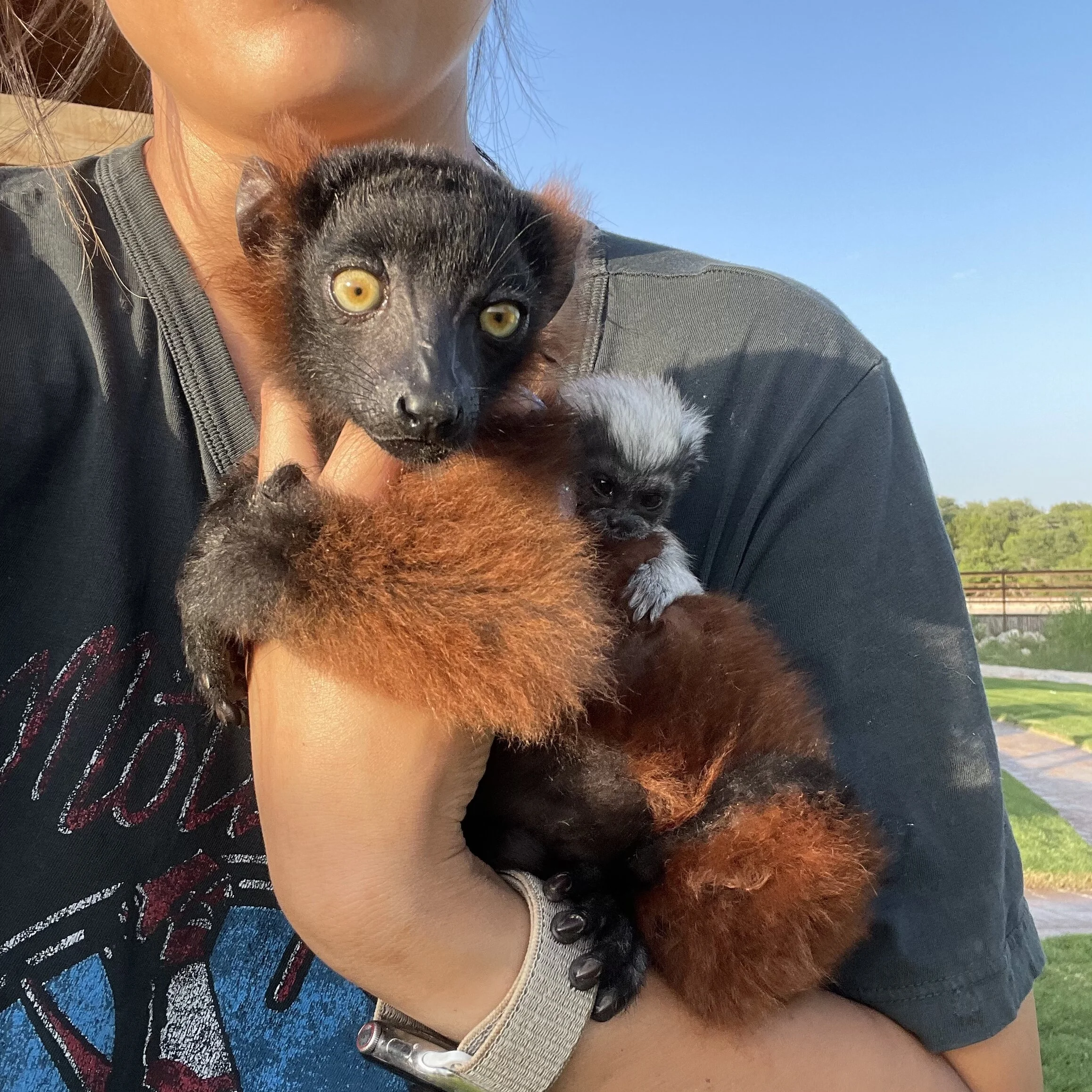 4E5509A2-C6B4-47AE-B4C3-758312A68435