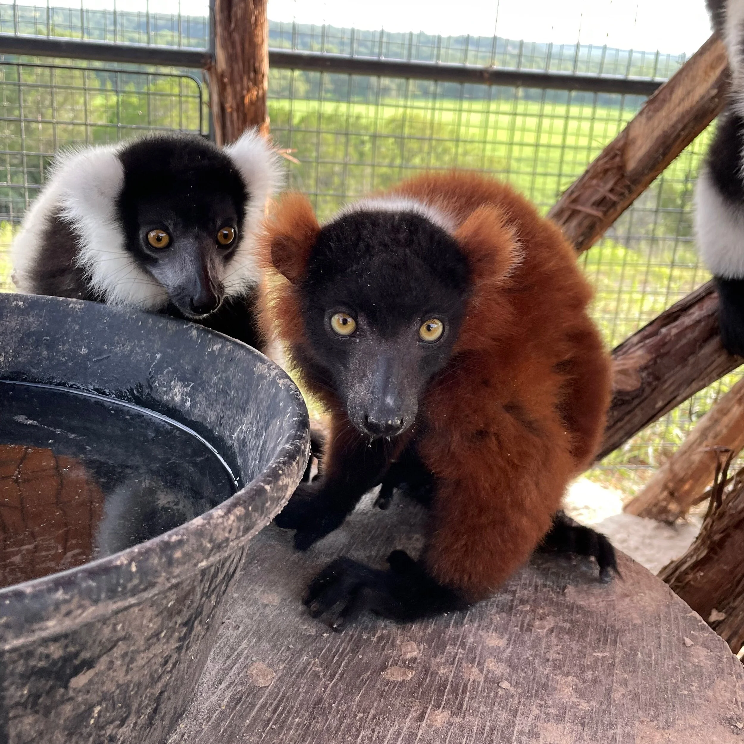 0387E45B-7177-450E-97EC-67B6250971D1