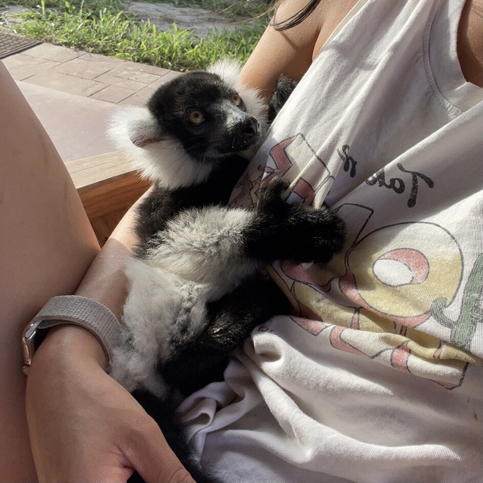 531AADCA-FF9B-4A1F-A3A8-F71A67C11485