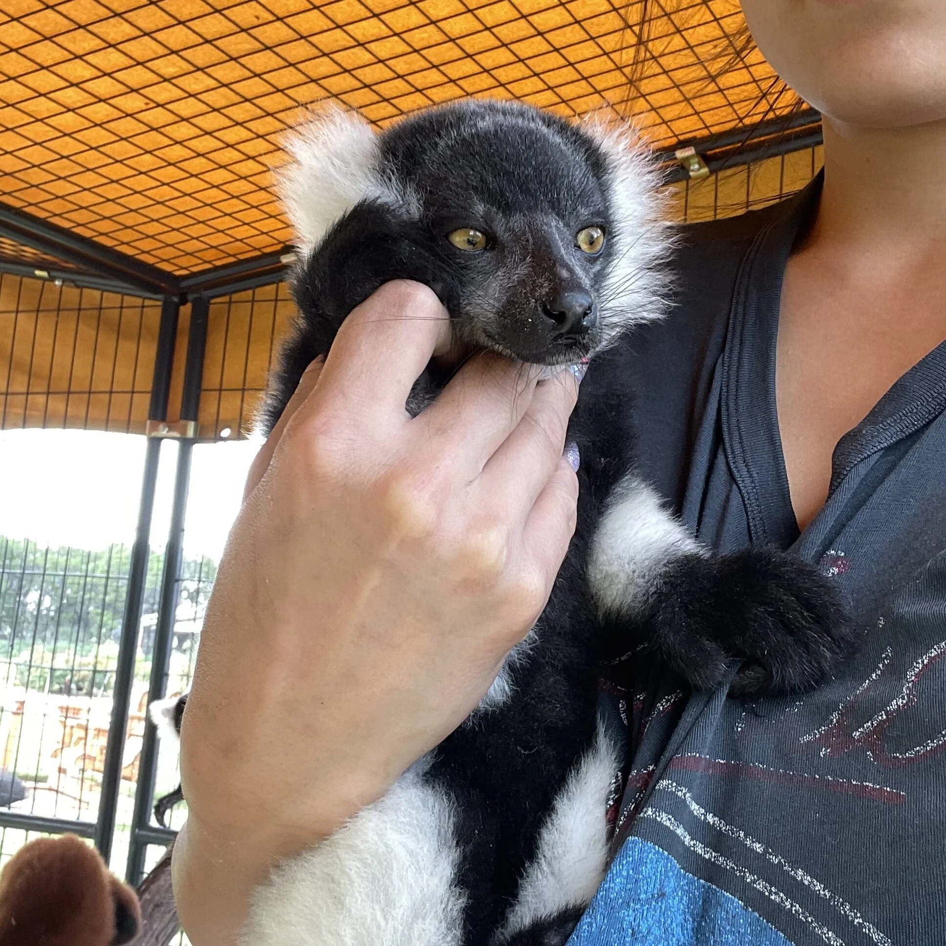 1D8B2B8C-3442-4119-BFDE-BDB65739BE78