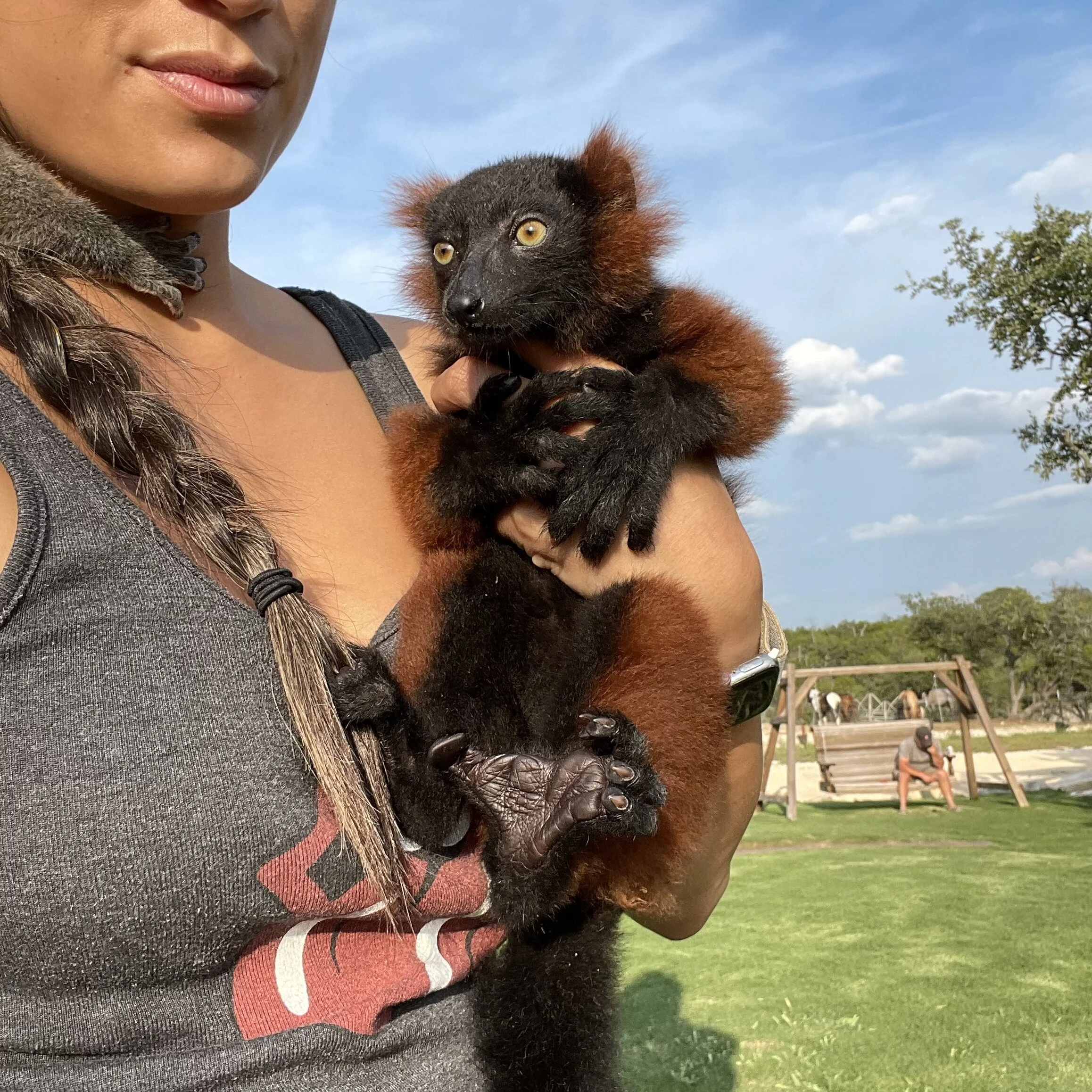 965ABFEE-9C41-4603-B5F7-1E9644453534