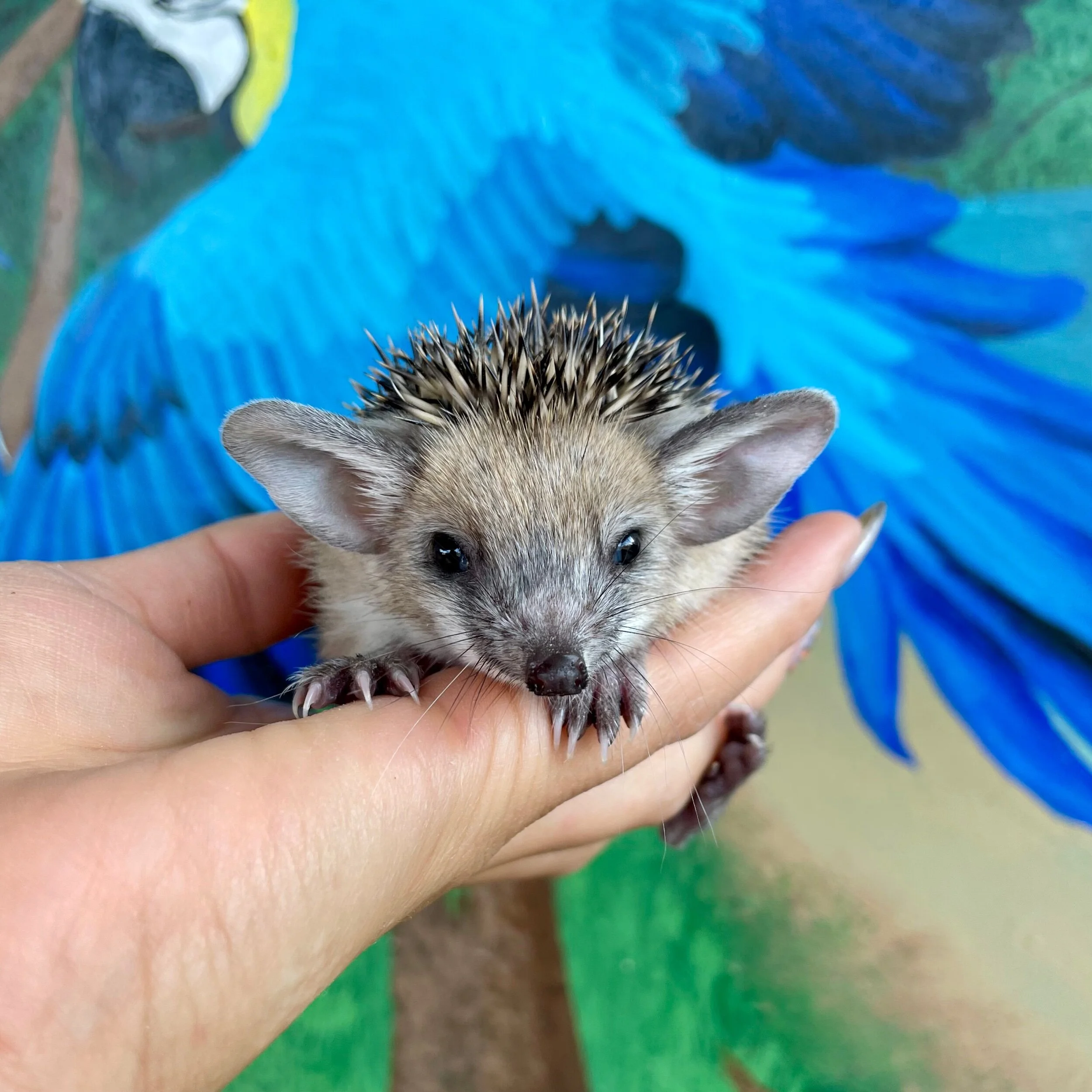 2C5A82FF-41ED-454A-A83D-24039985DFEE