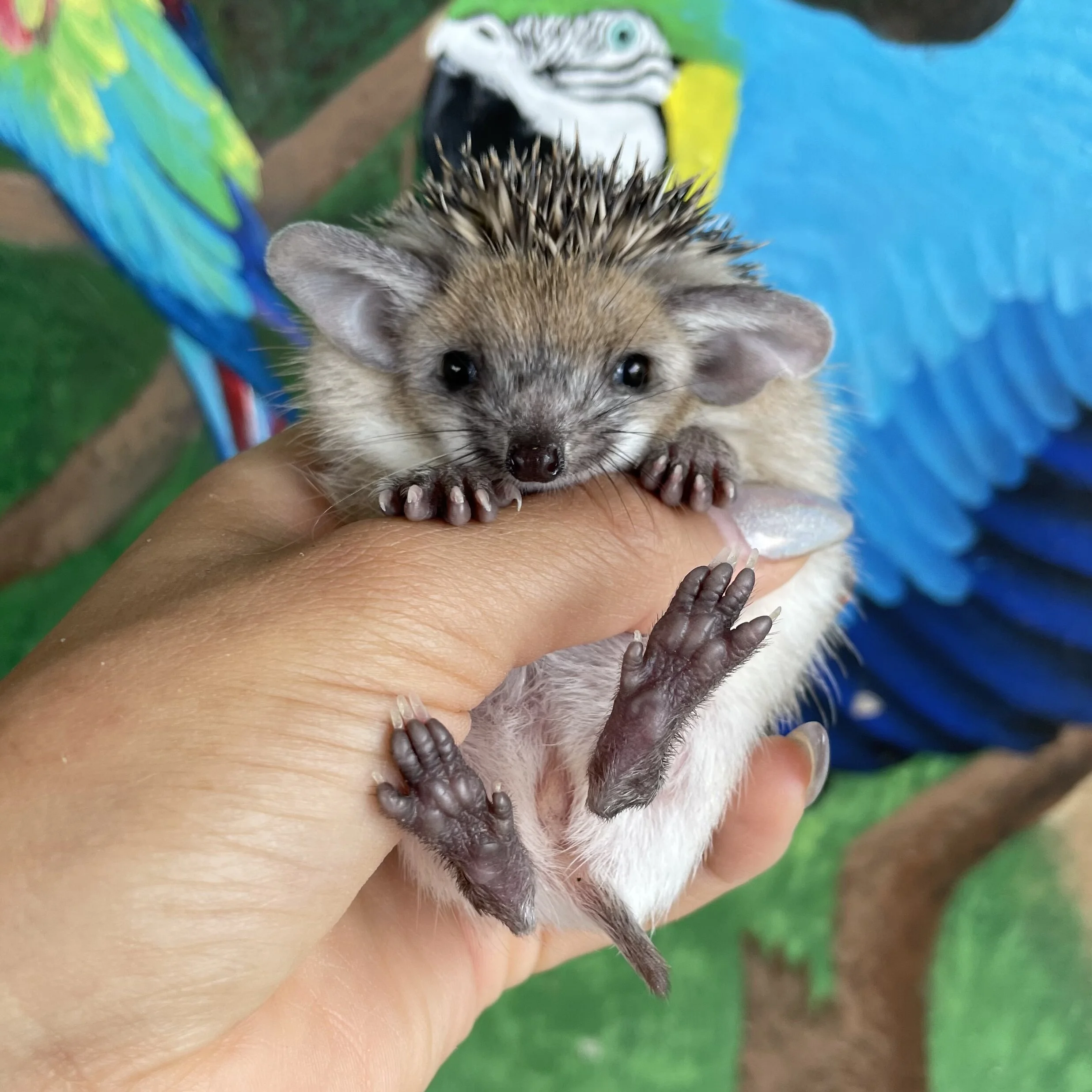 06FC9978-9030-4AF6-B363-22A7CEB670A0